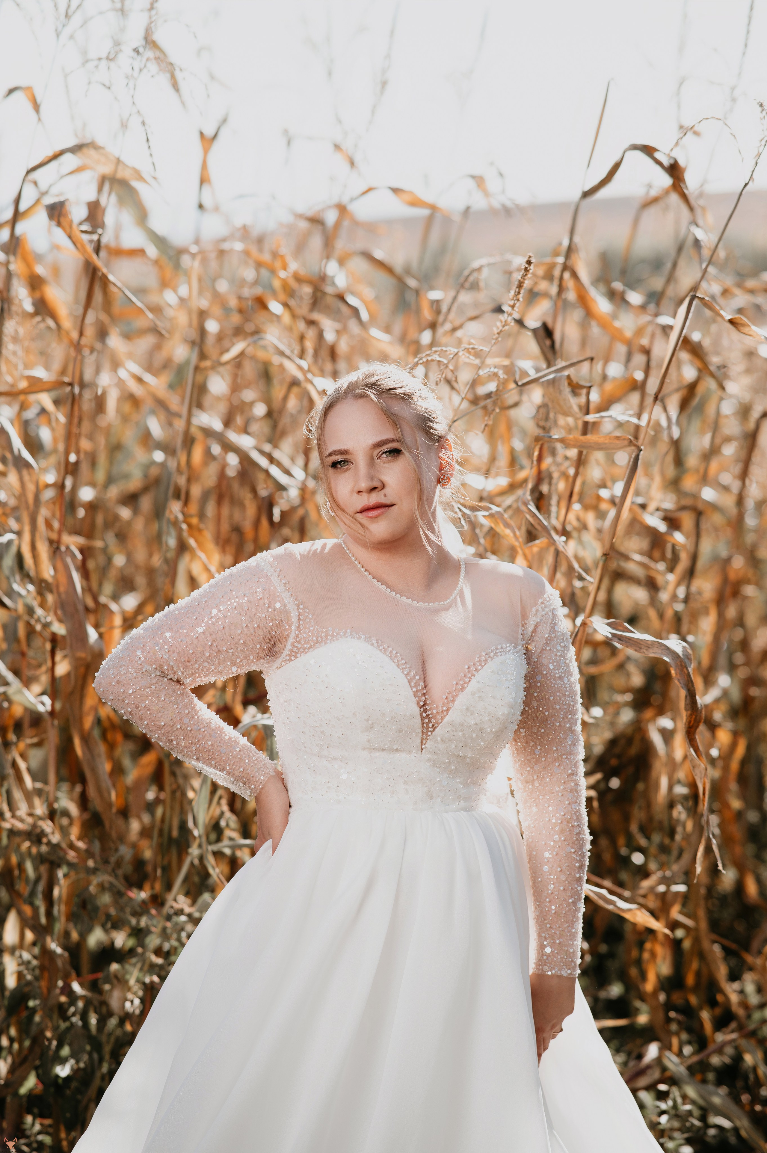 Wedding 20 09 24. Свадебный Фотограф Абакан