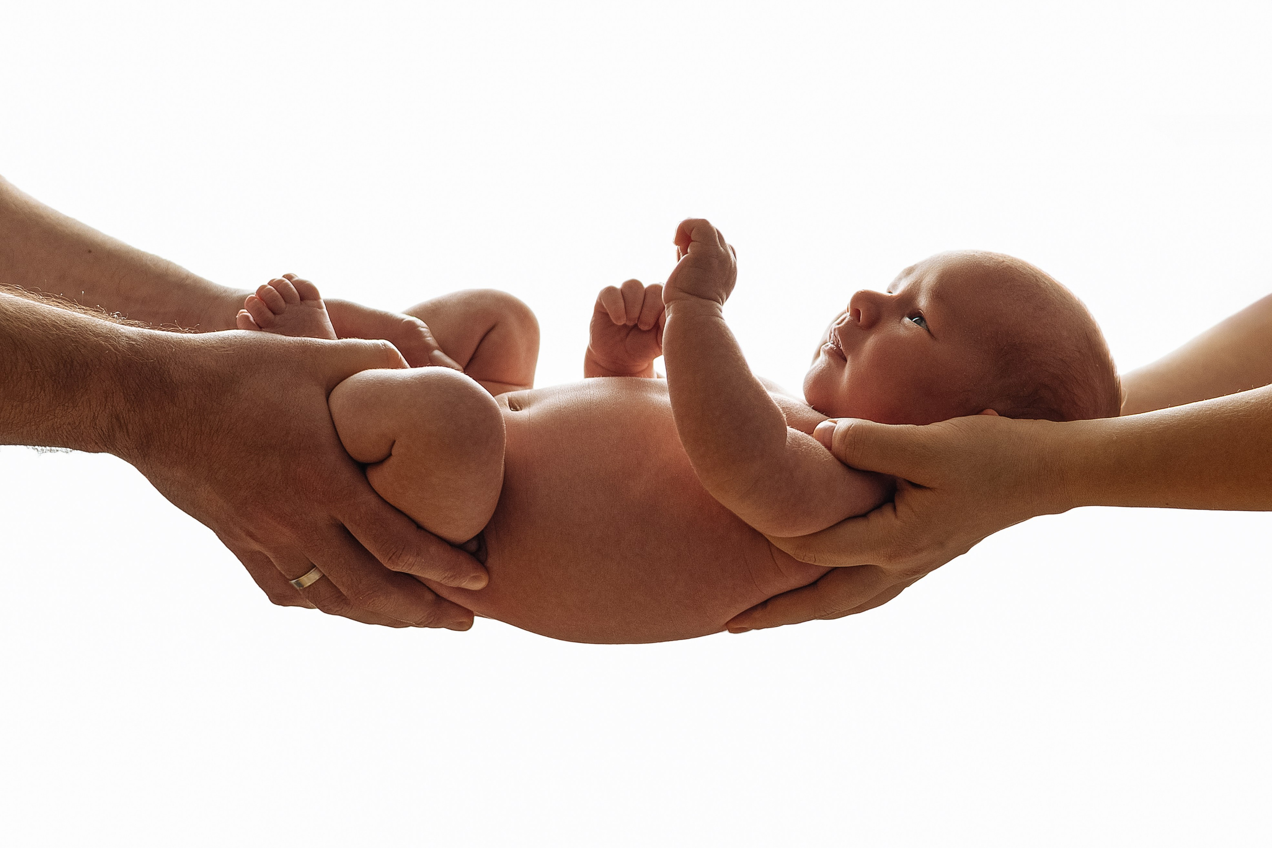 Матвей 1 месяц. Фотограф новорожденных в Санкт-Петербурге Екатерина Иванова