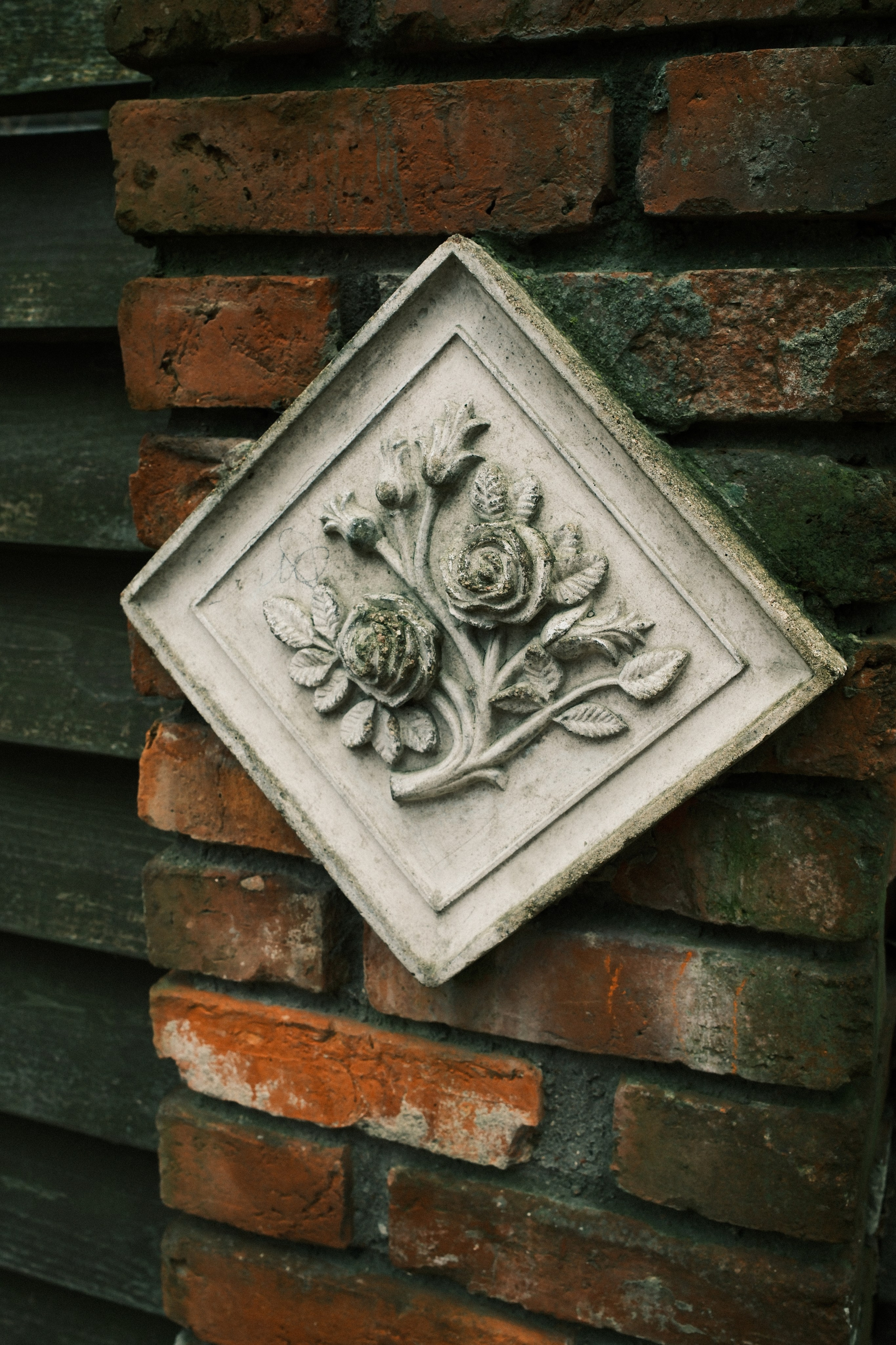 Зеленоградск. Калининградская область. Алексей Торопов фотограф