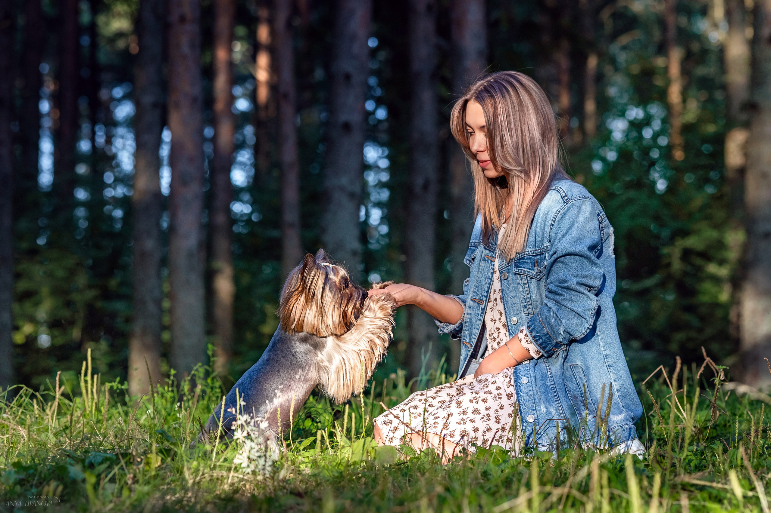 Катя и йорки. Фотограф анималист Аня Ливанова | Рыбинск