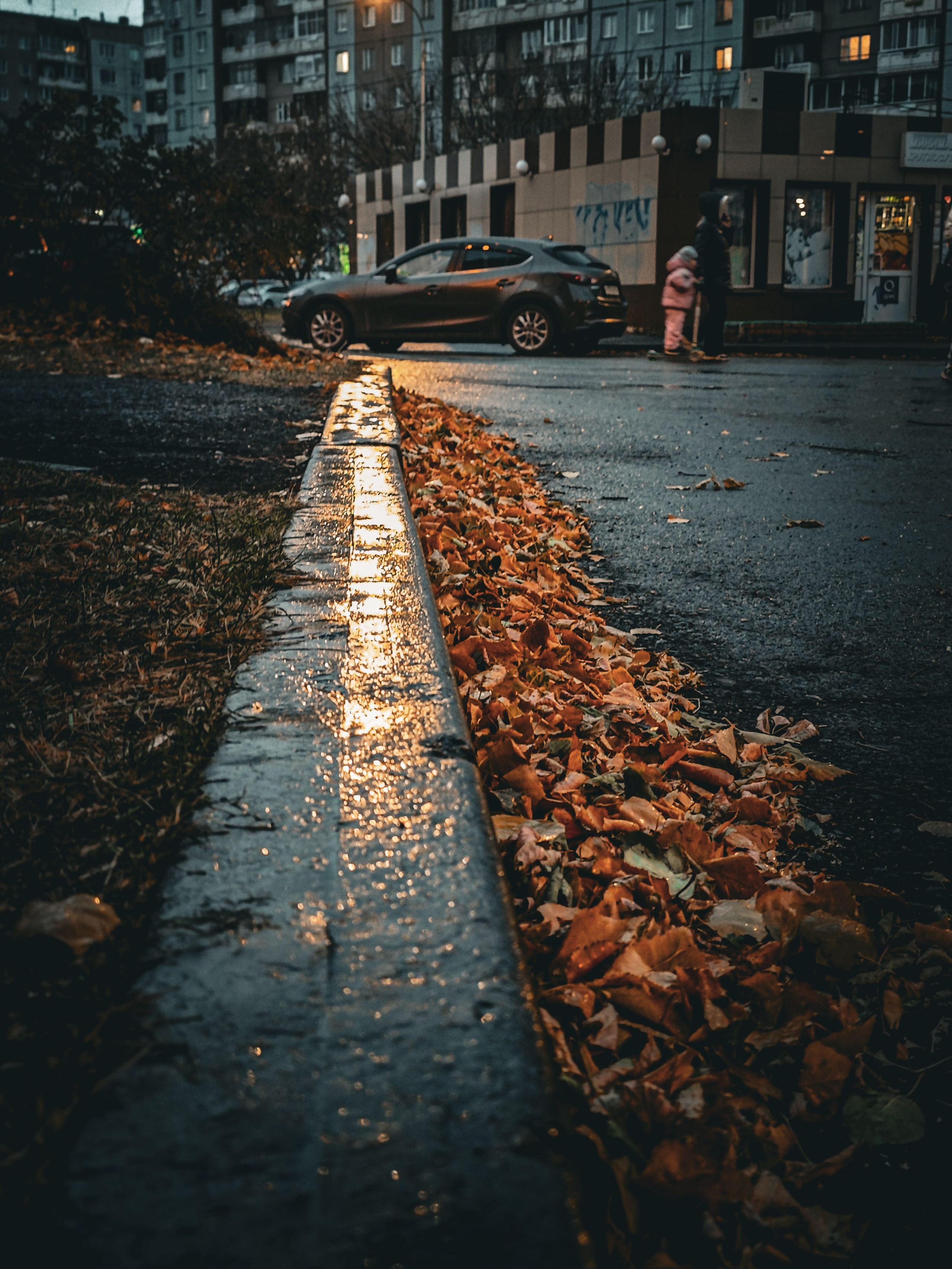 Осенние листья. Игорь Урывский. Фотограф Красноярск