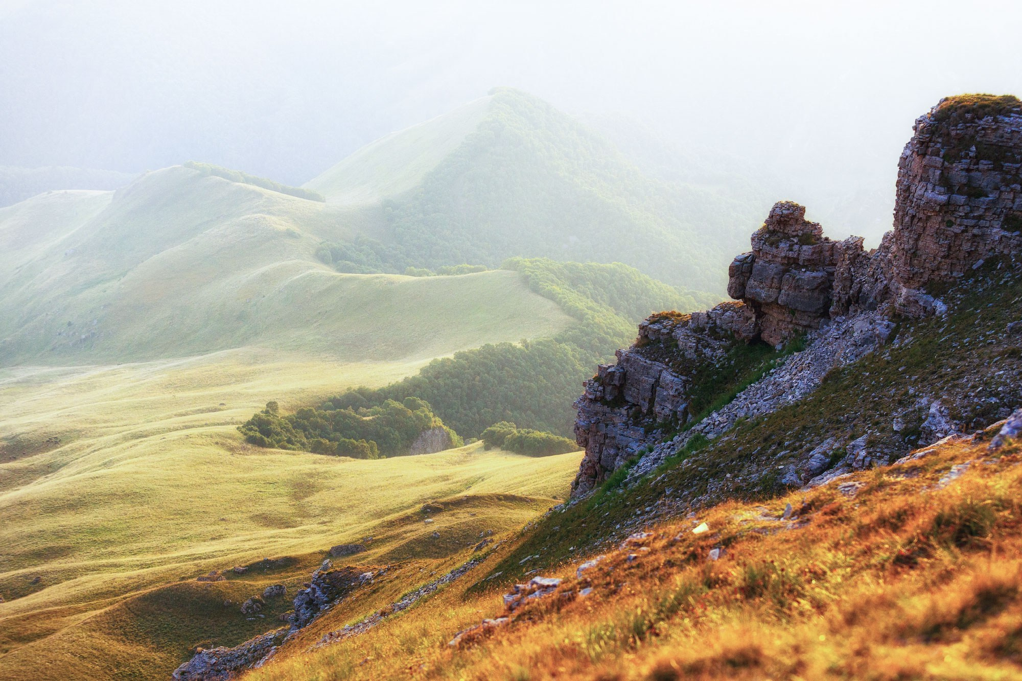 Свадебный фотограф в Геленджике
