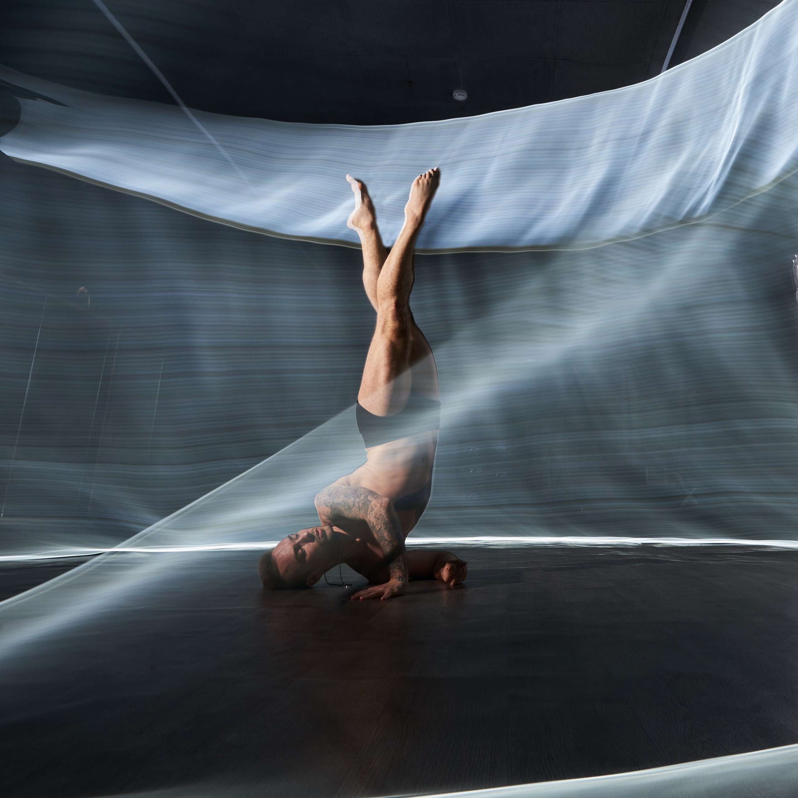 Фризлайт. Главная