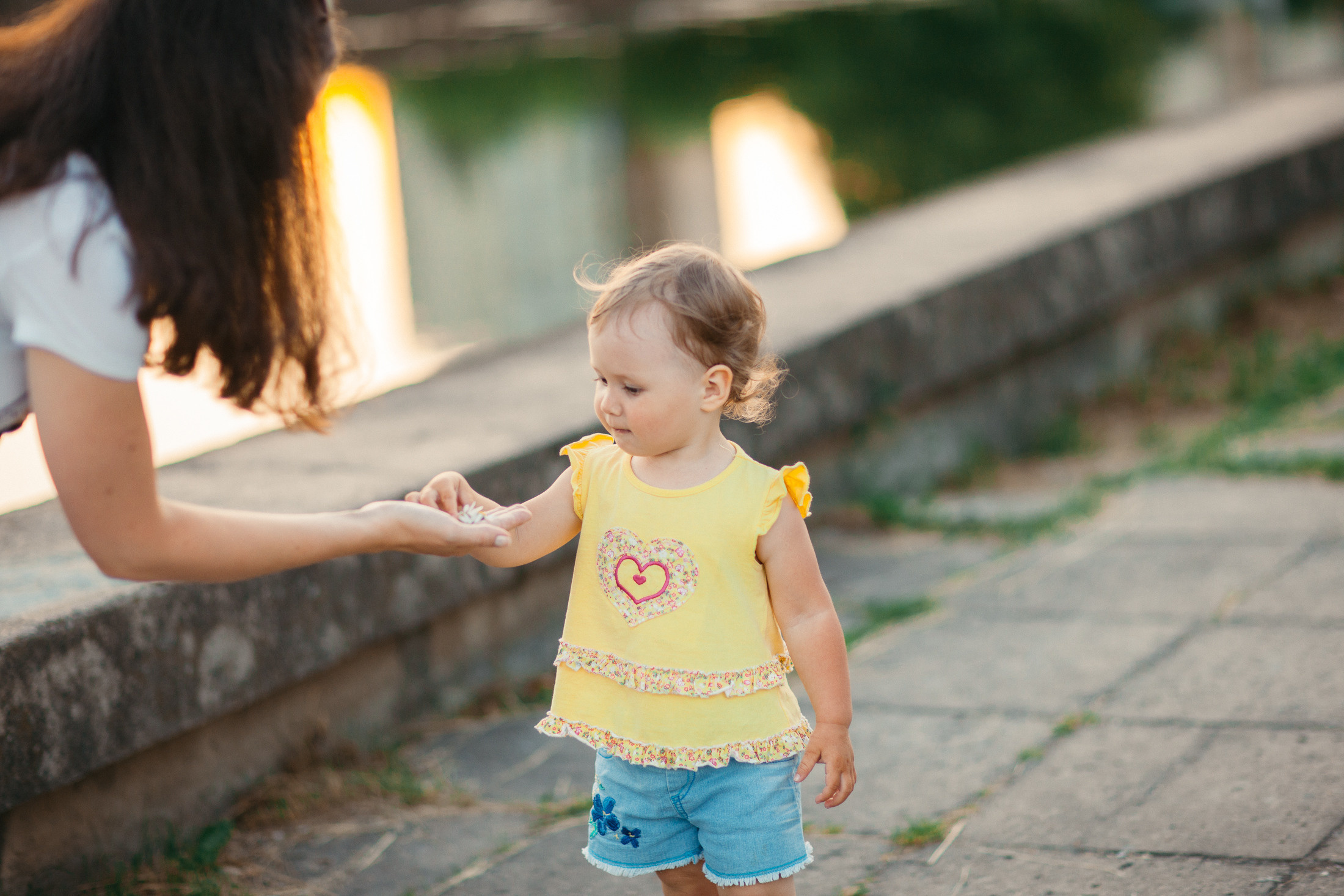 Солнечные зайчики. Фотограф Дмитрий Смелов