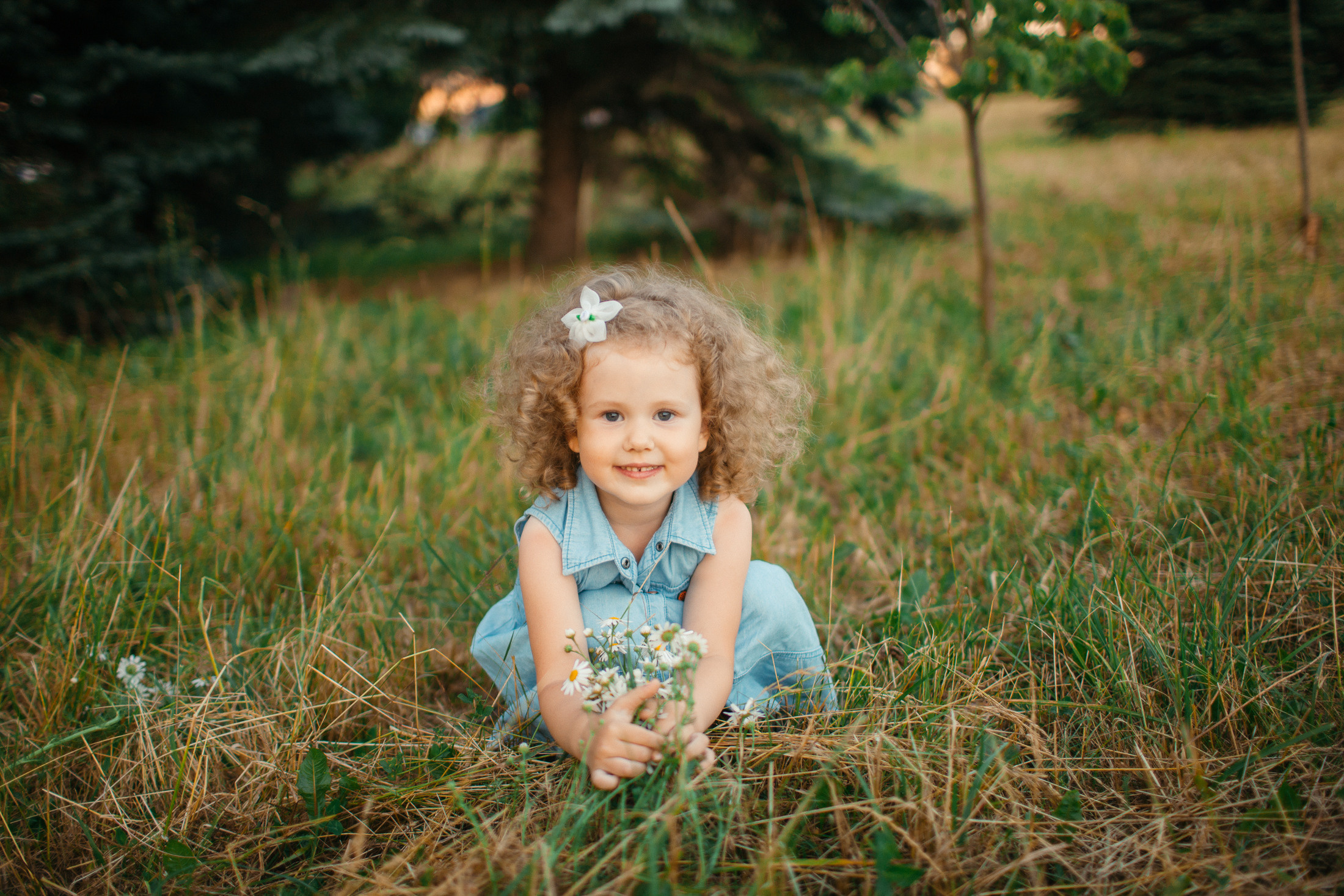 Солнечные зайчики. Фотограф Дмитрий Смелов