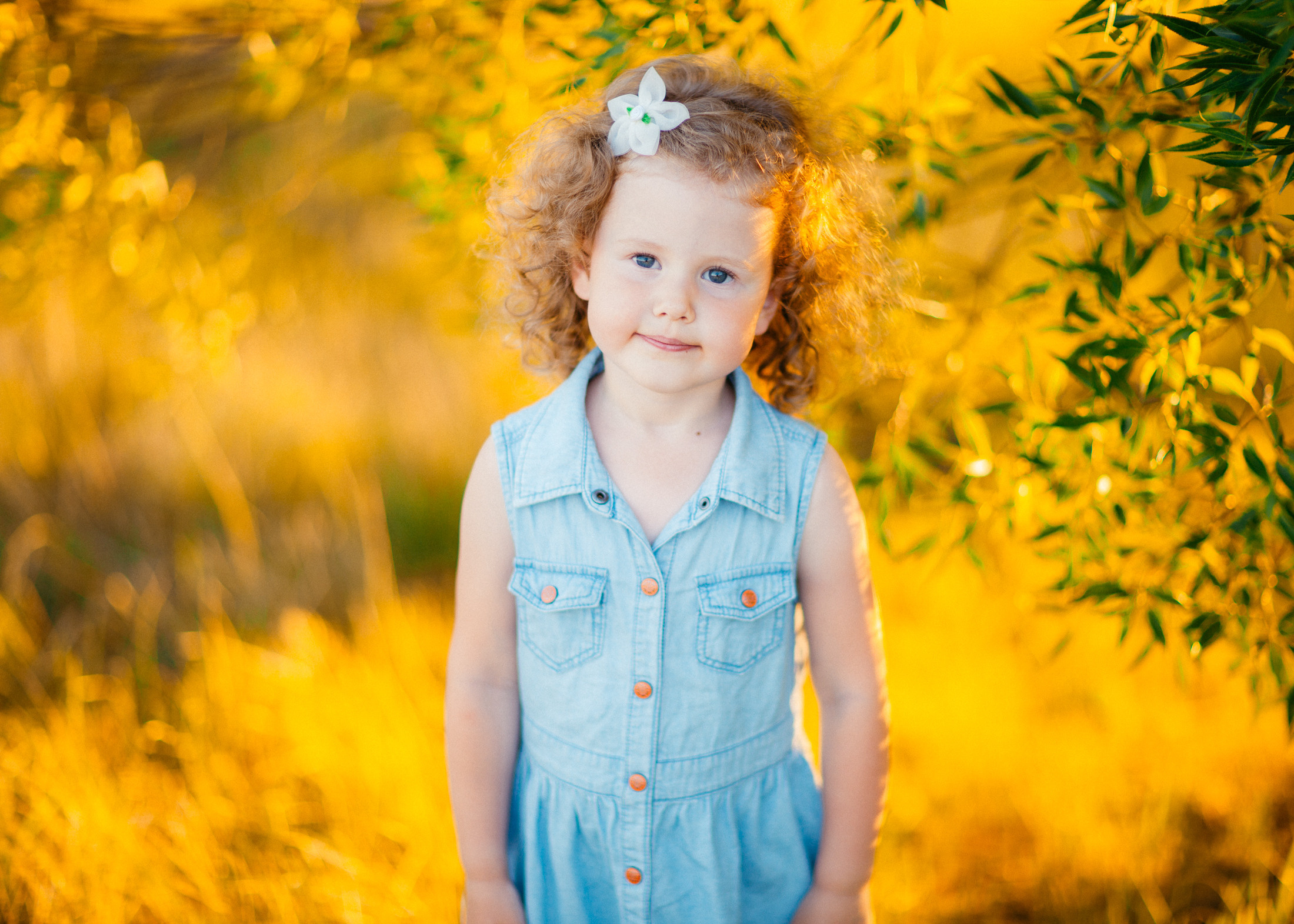 Солнечные зайчики. Фотограф Дмитрий Смелов