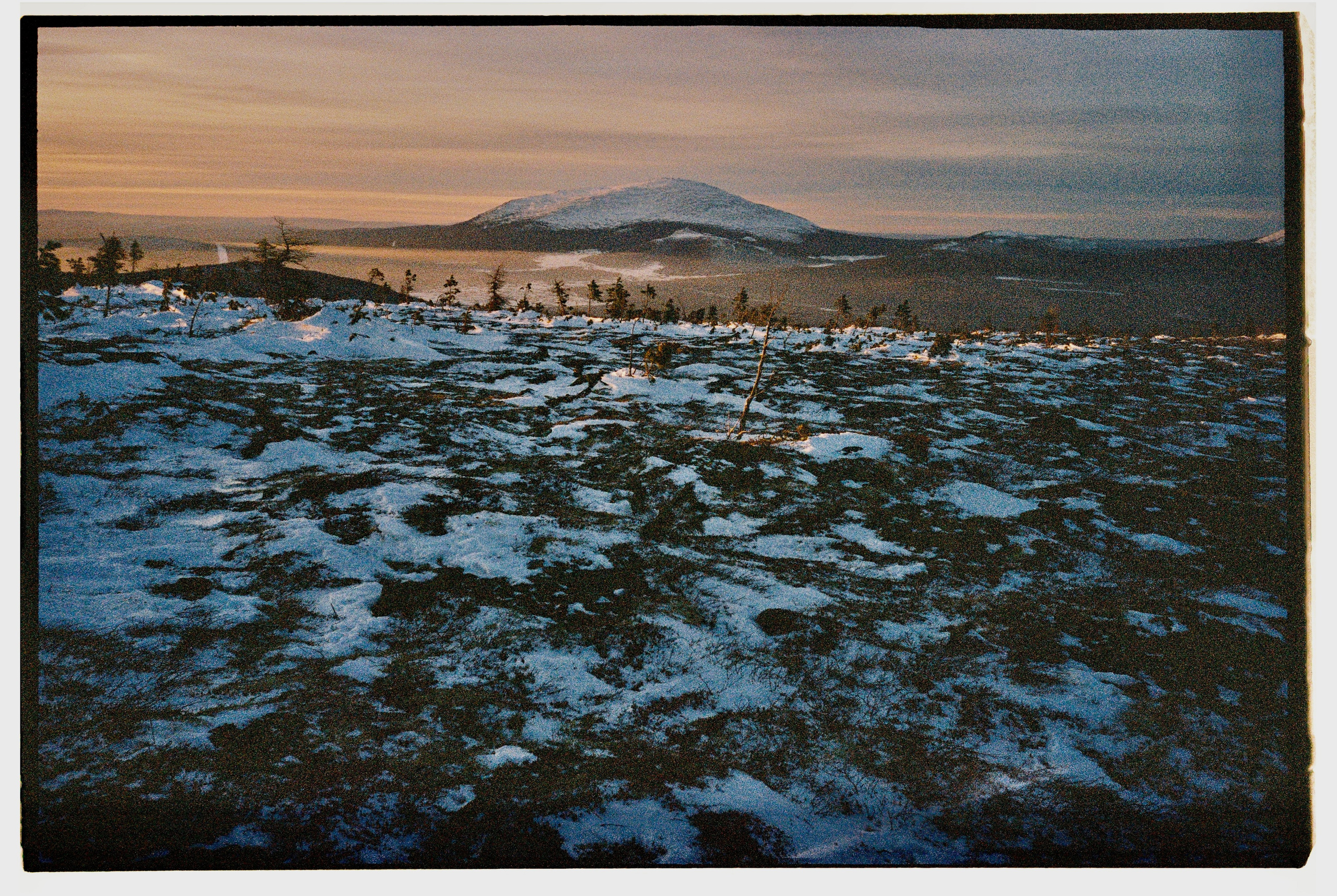 Пленка. Фотограф Андрей Куськало