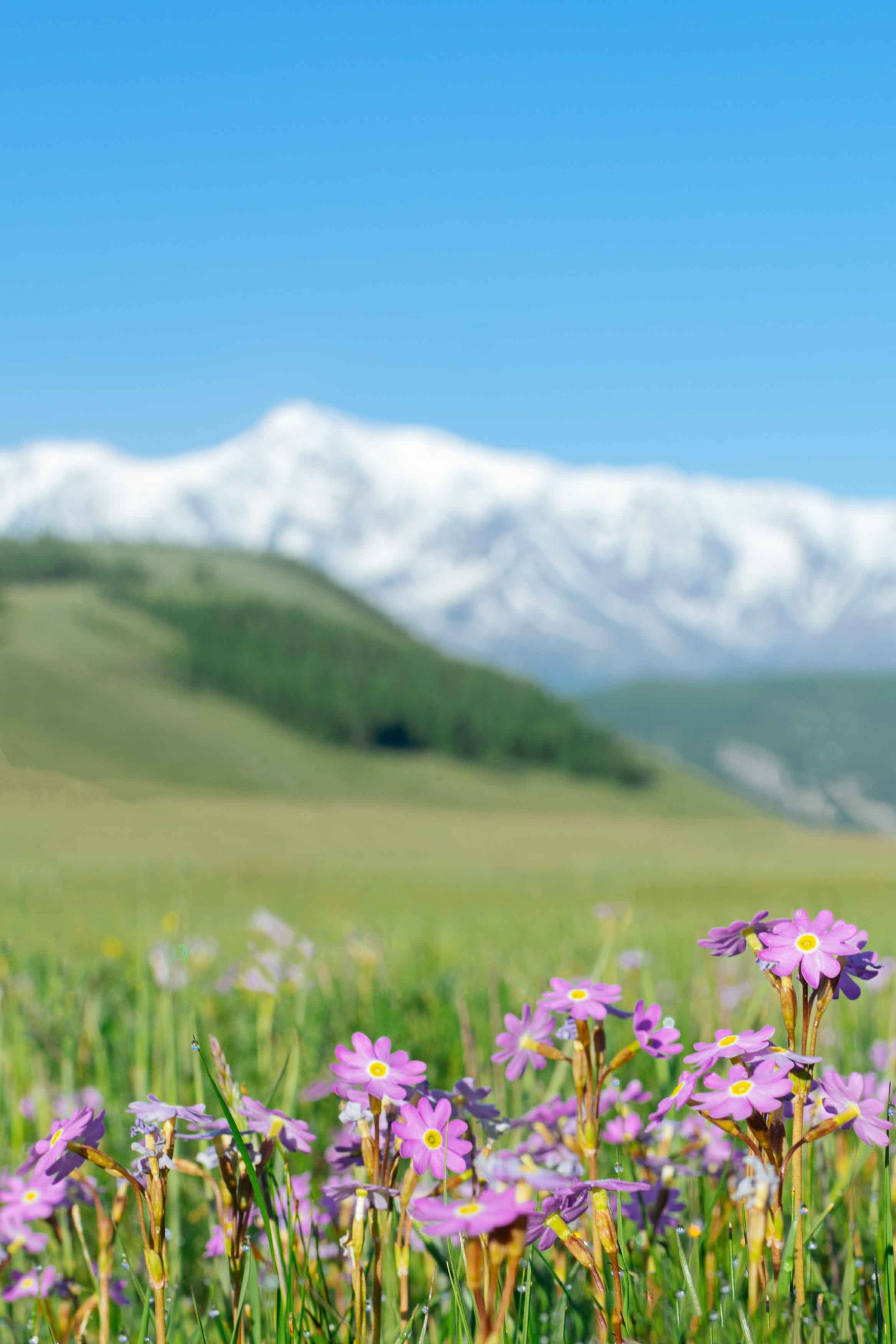 Anya. Film Photographer in Da Nang, Vietnam — Tanya Parfenteva