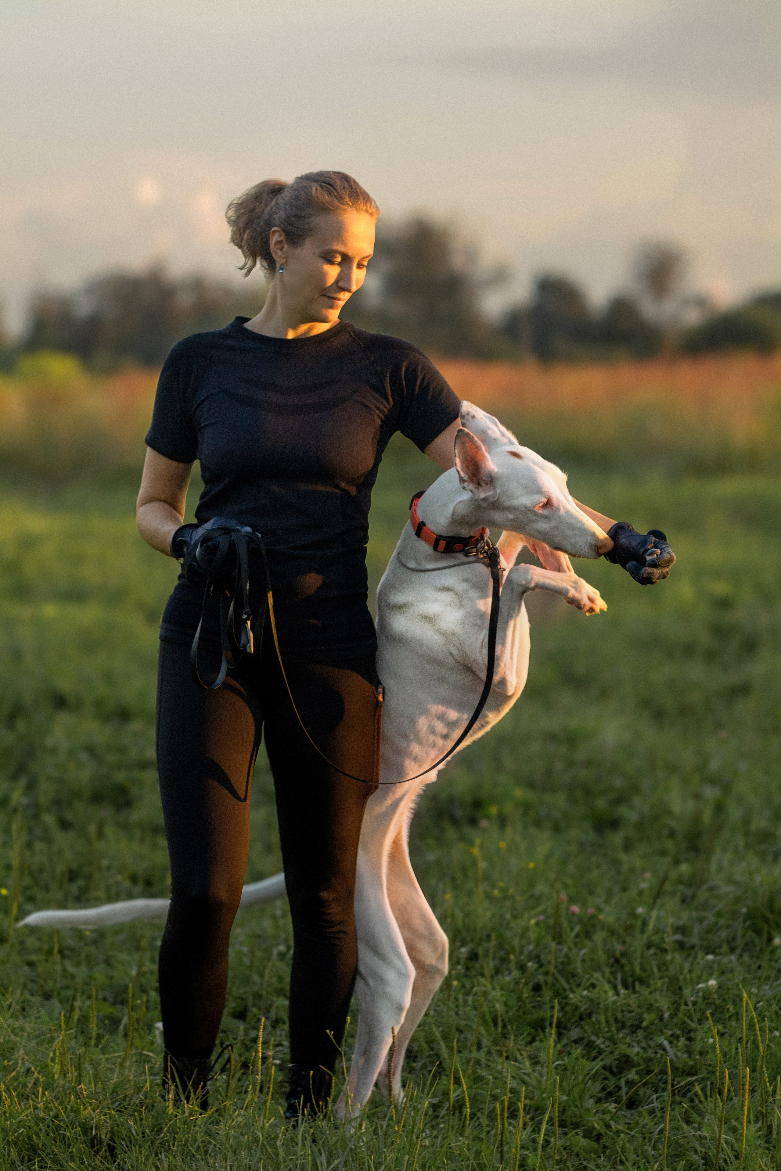 Елена и Бранка на закате. Фотограф Екатерина Попова |Семья и питомцы|НН и Дзержинск