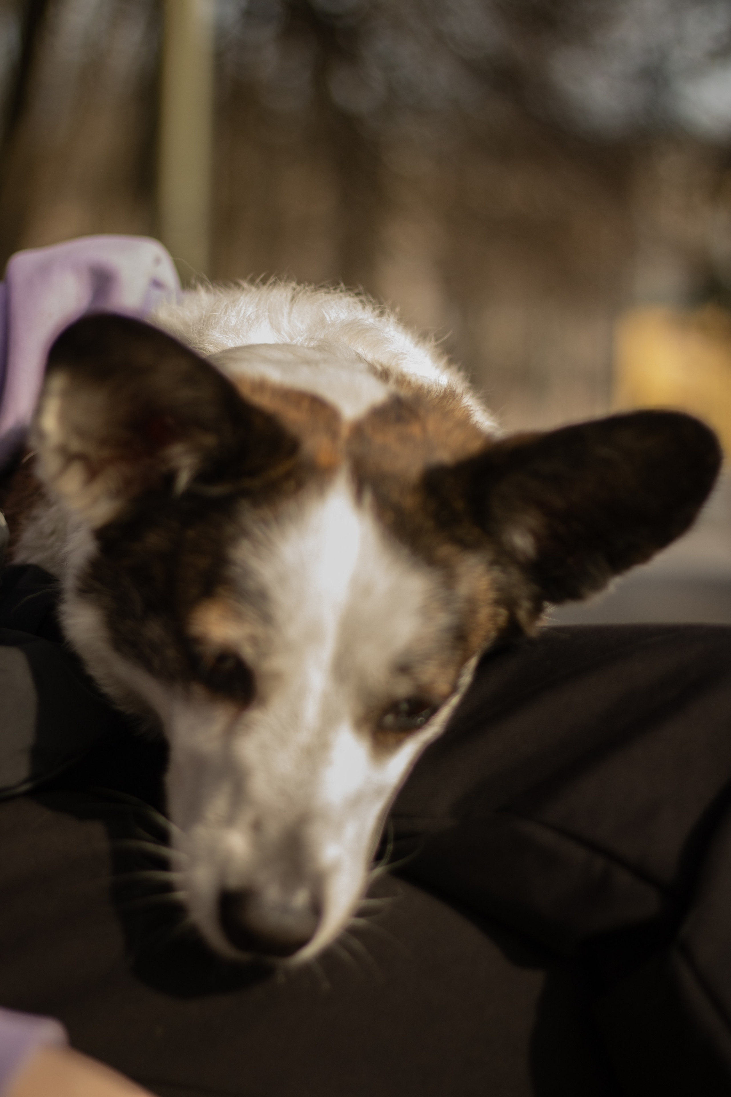 Юлия и Тэя. Катя Попова|ЛайфСтайл фотограф