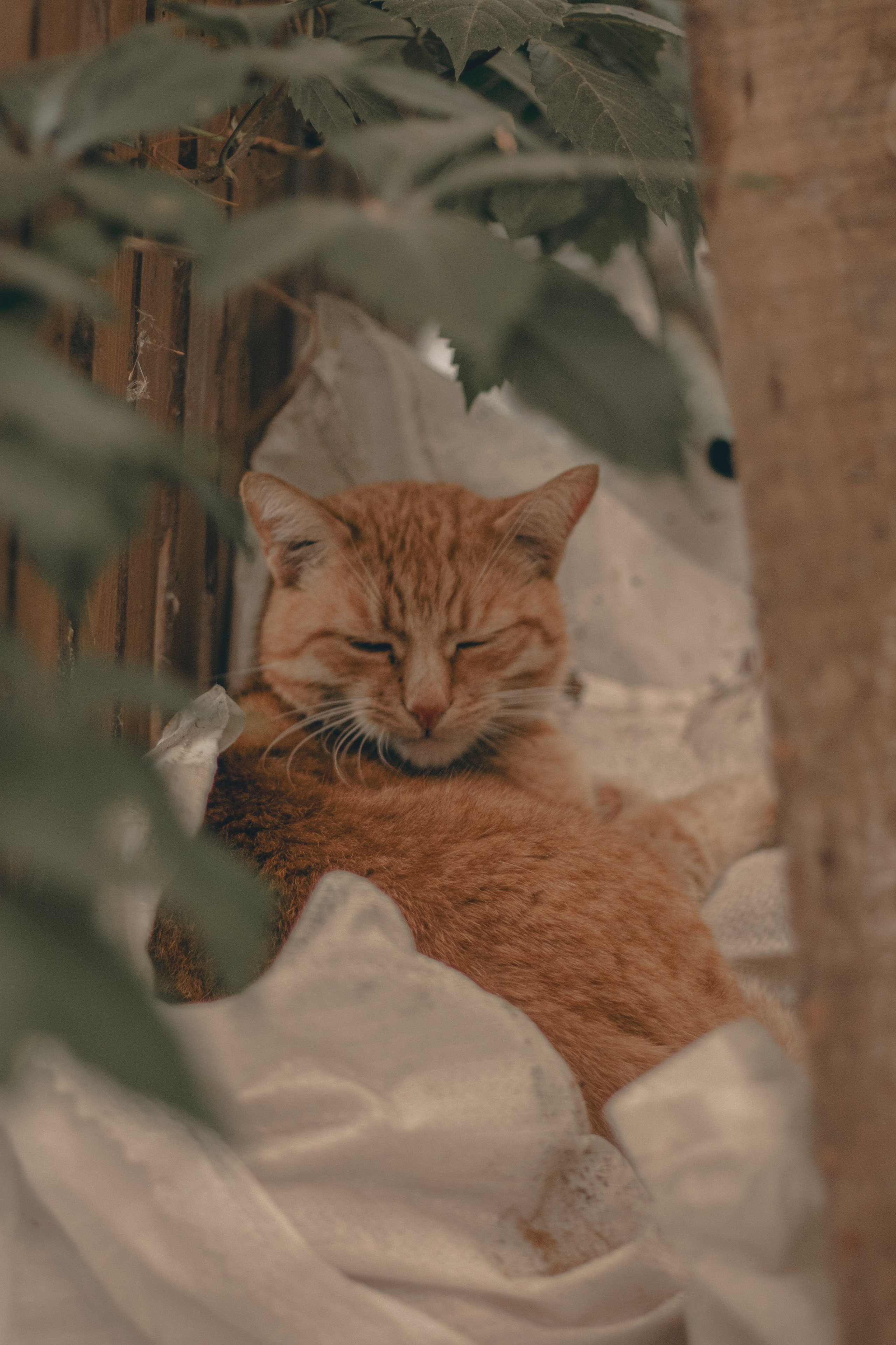 Сладкие мгновения. Фотограф Екатерина Попова |Семья и питомцы|НН и Дзержинск