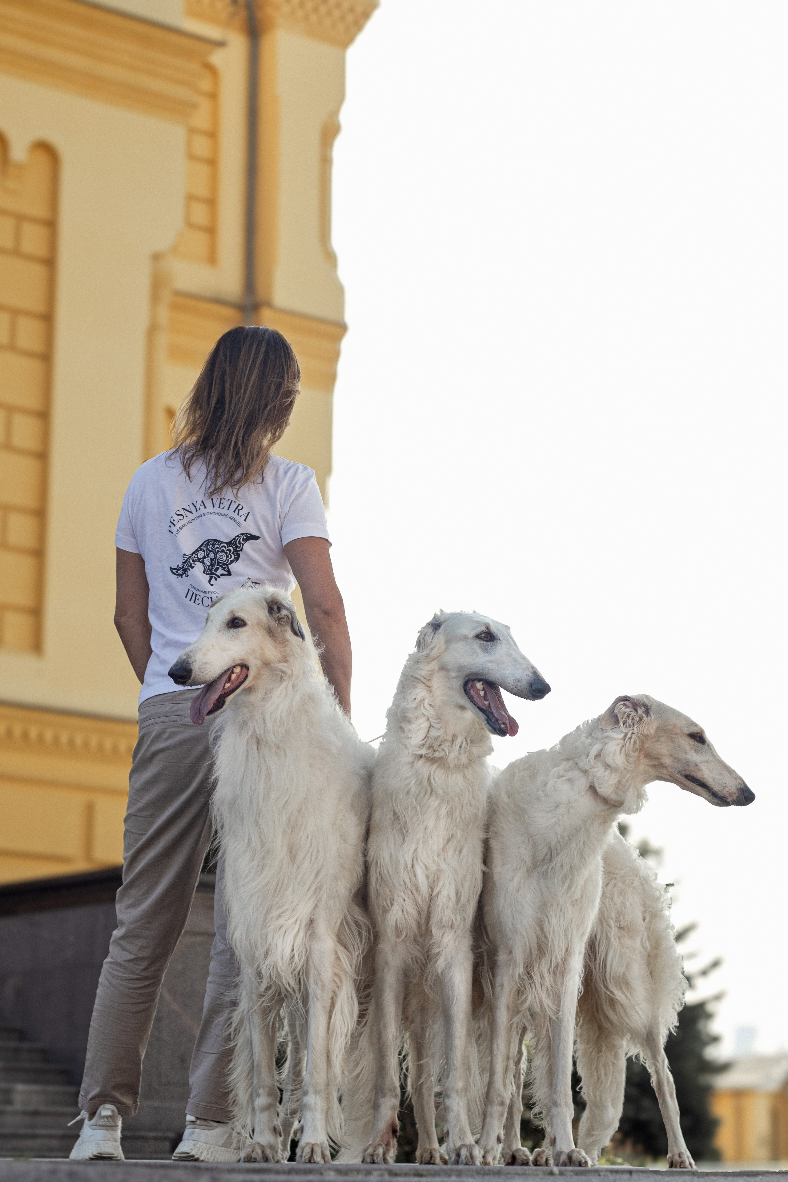 Песня ветра. Фотограф Екатерина Попова |Семья и питомцы|НН и Дзержинск