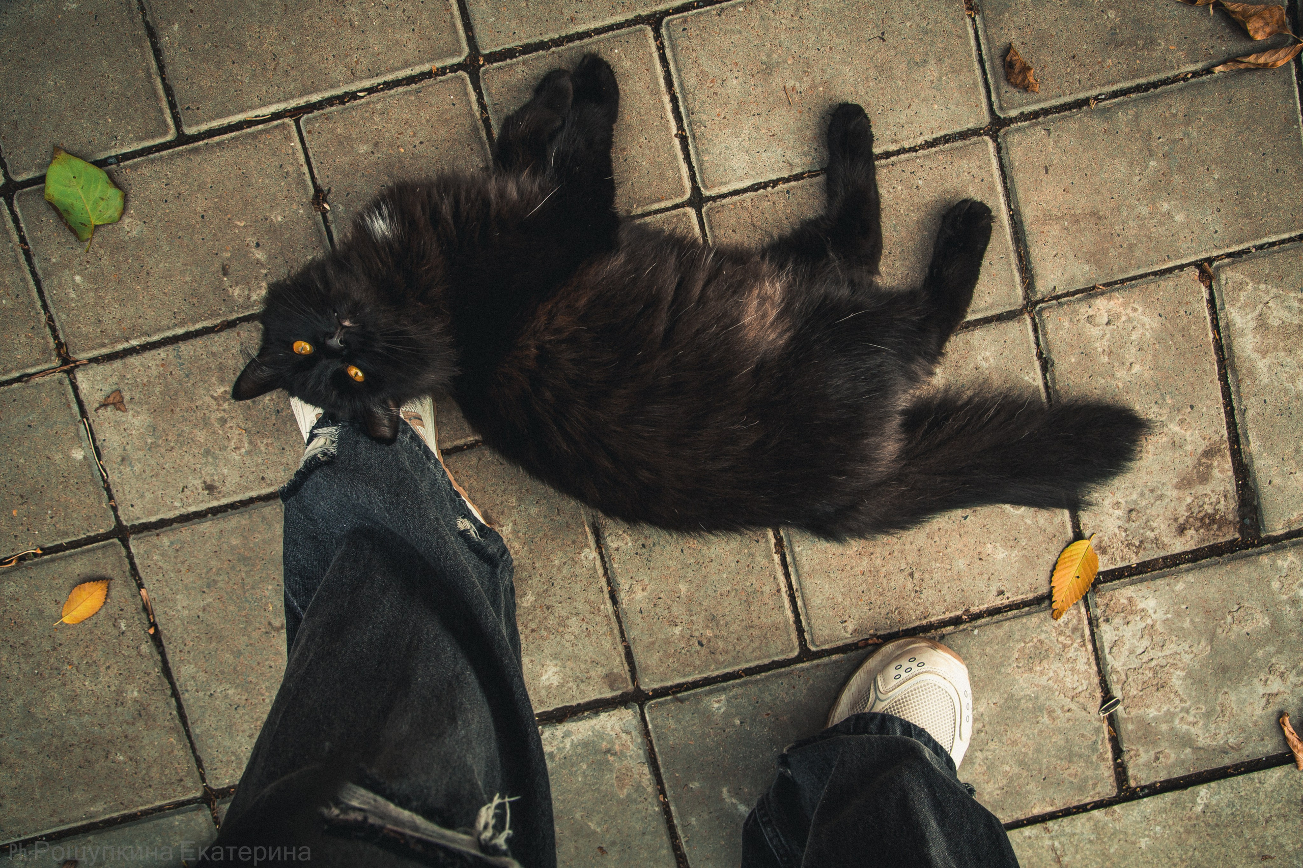 Старый Оренбург. Ваш фотограф в Оренбурге Рощупкина Екатерина