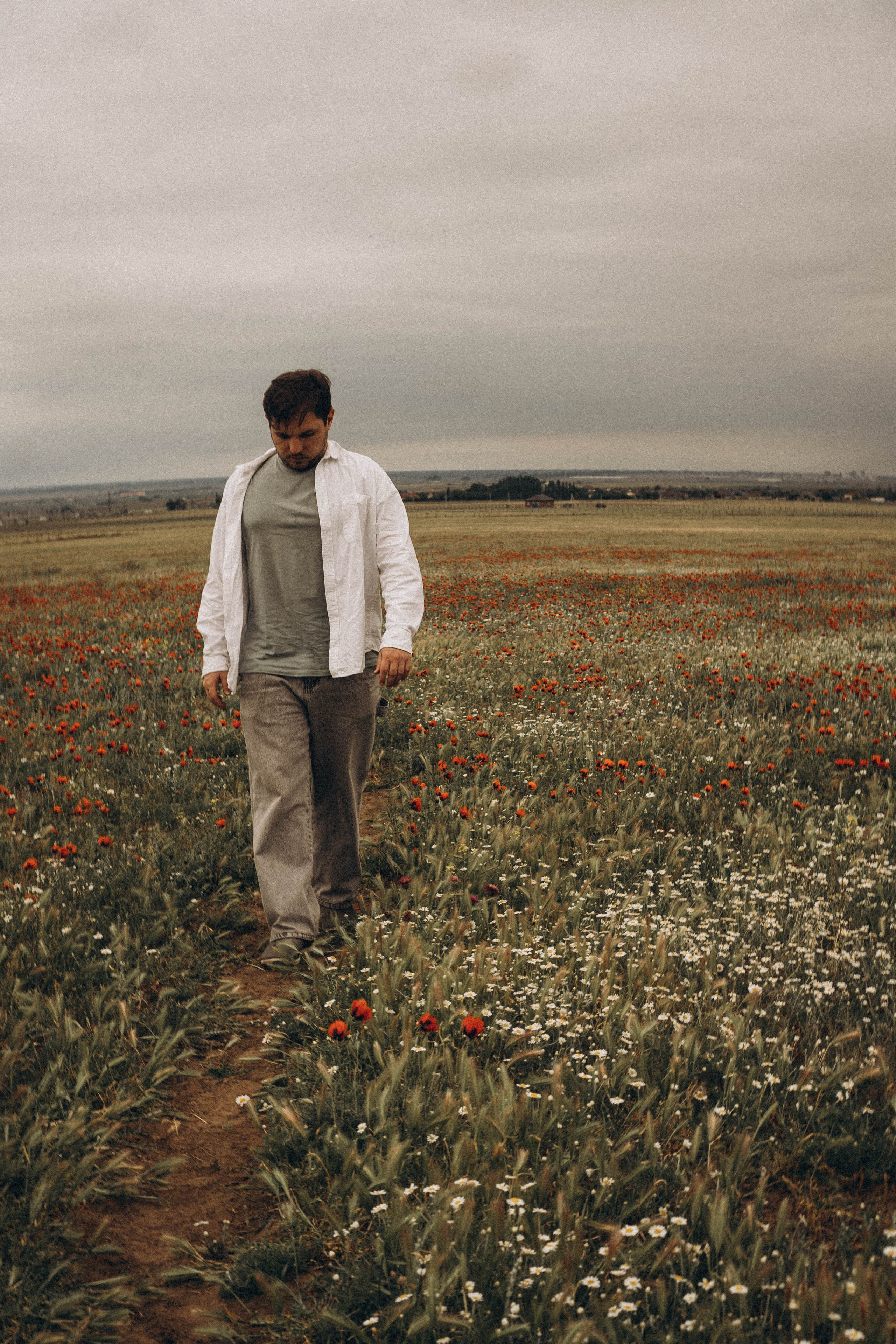 Маки. Профессиональный фотограф, Санкт-Петербург — Виктория Богомолова