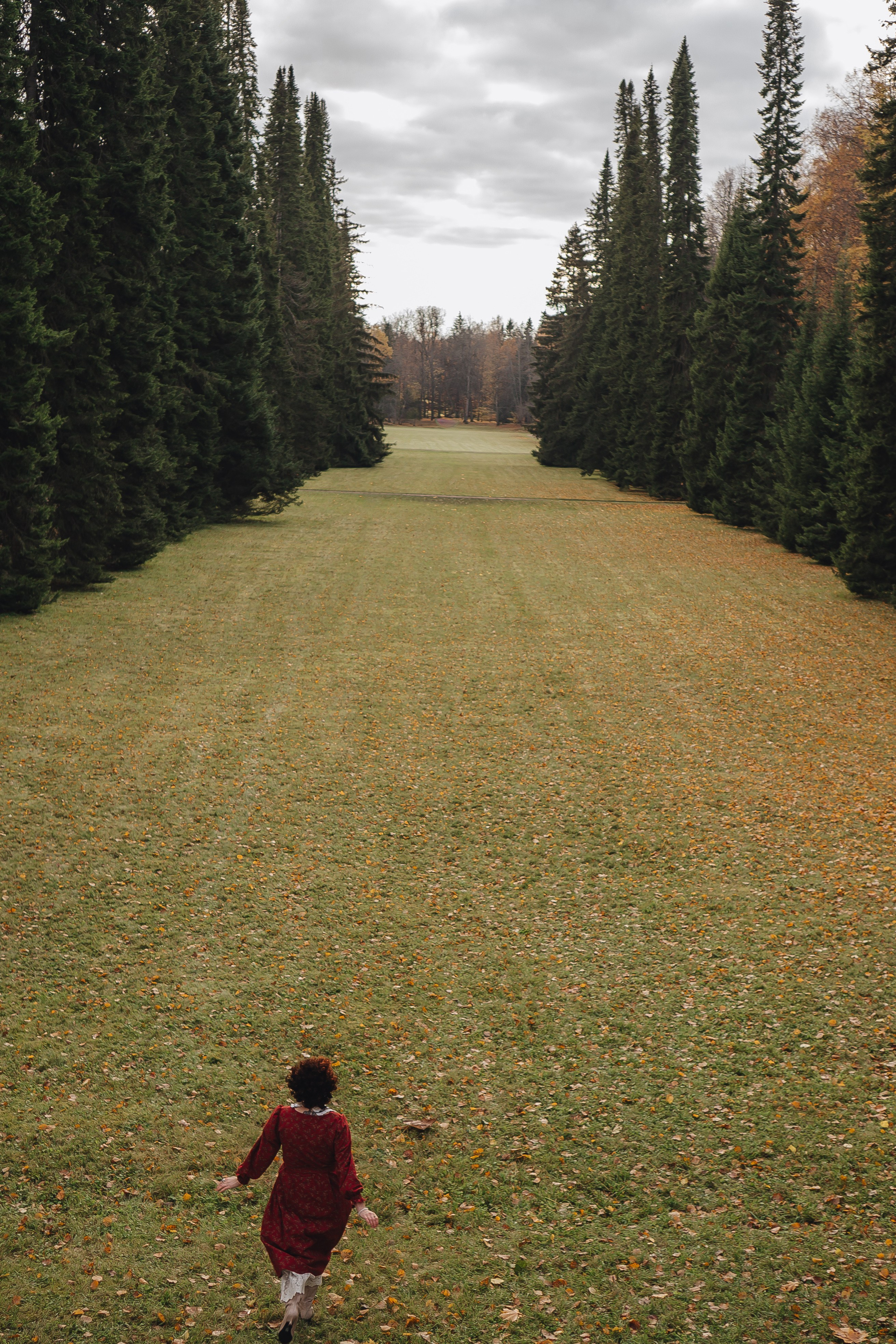 Осенний парк. Профессиональный фотограф, Санкт-Петербург — Виктория Богомолова