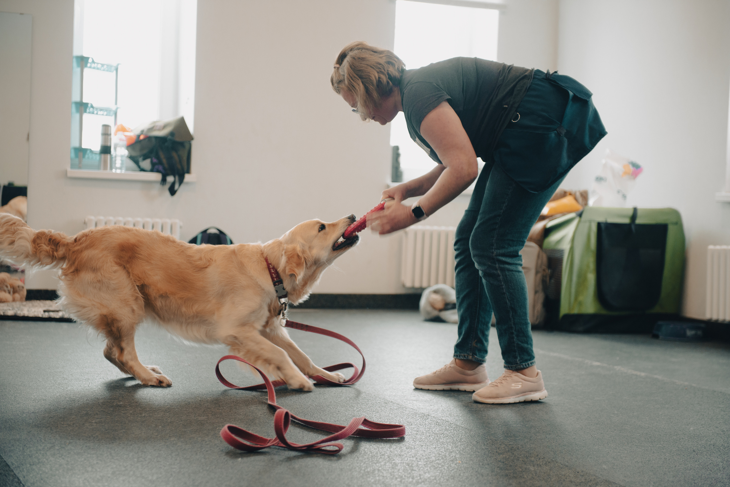 Семинар с Марией Рыбкиной «Игры с собаками» (24.02.2023). Фотограф-анималист Наталья Светличная