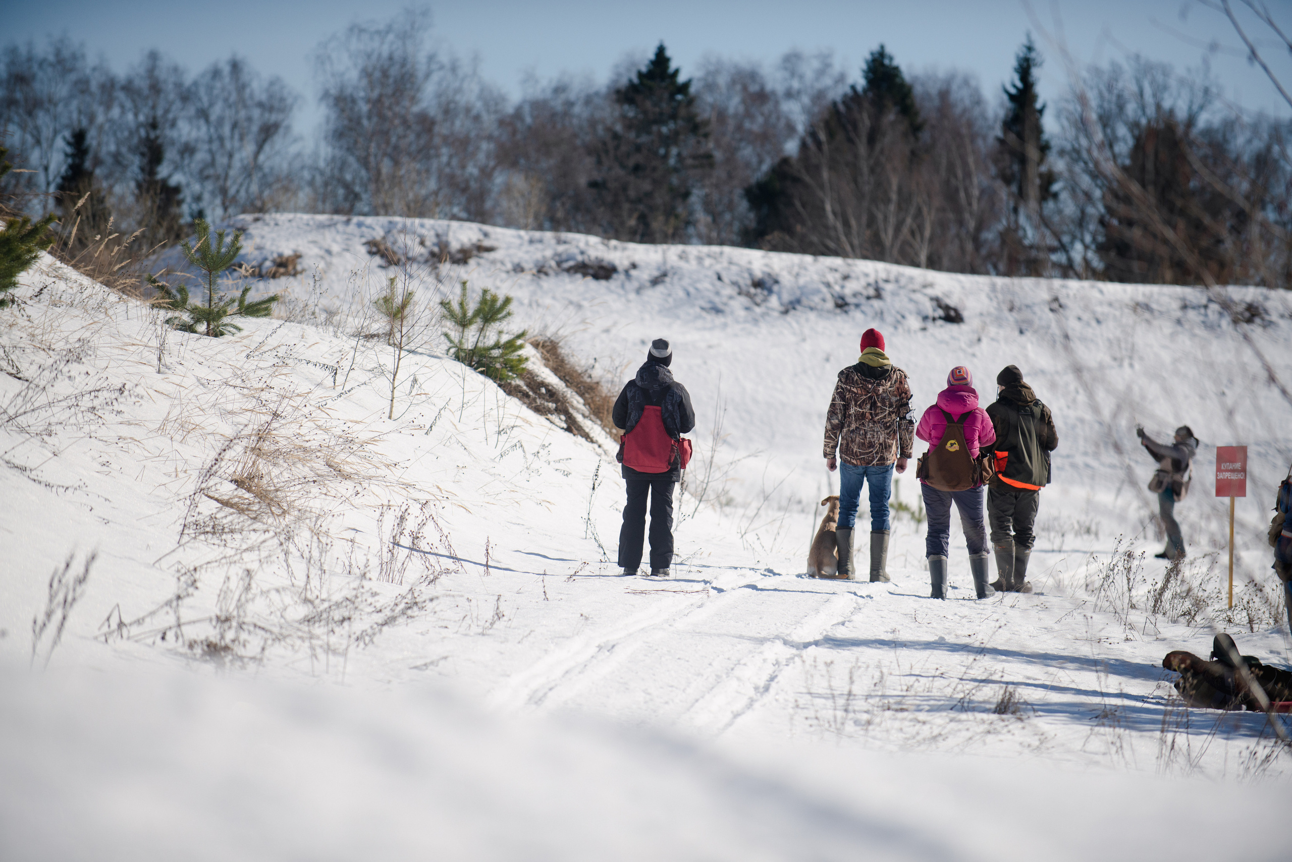 Тренировочный воркинг тест Школы Шмеля 18 марта 2023. Фотограф-анималист Наталья Светличная