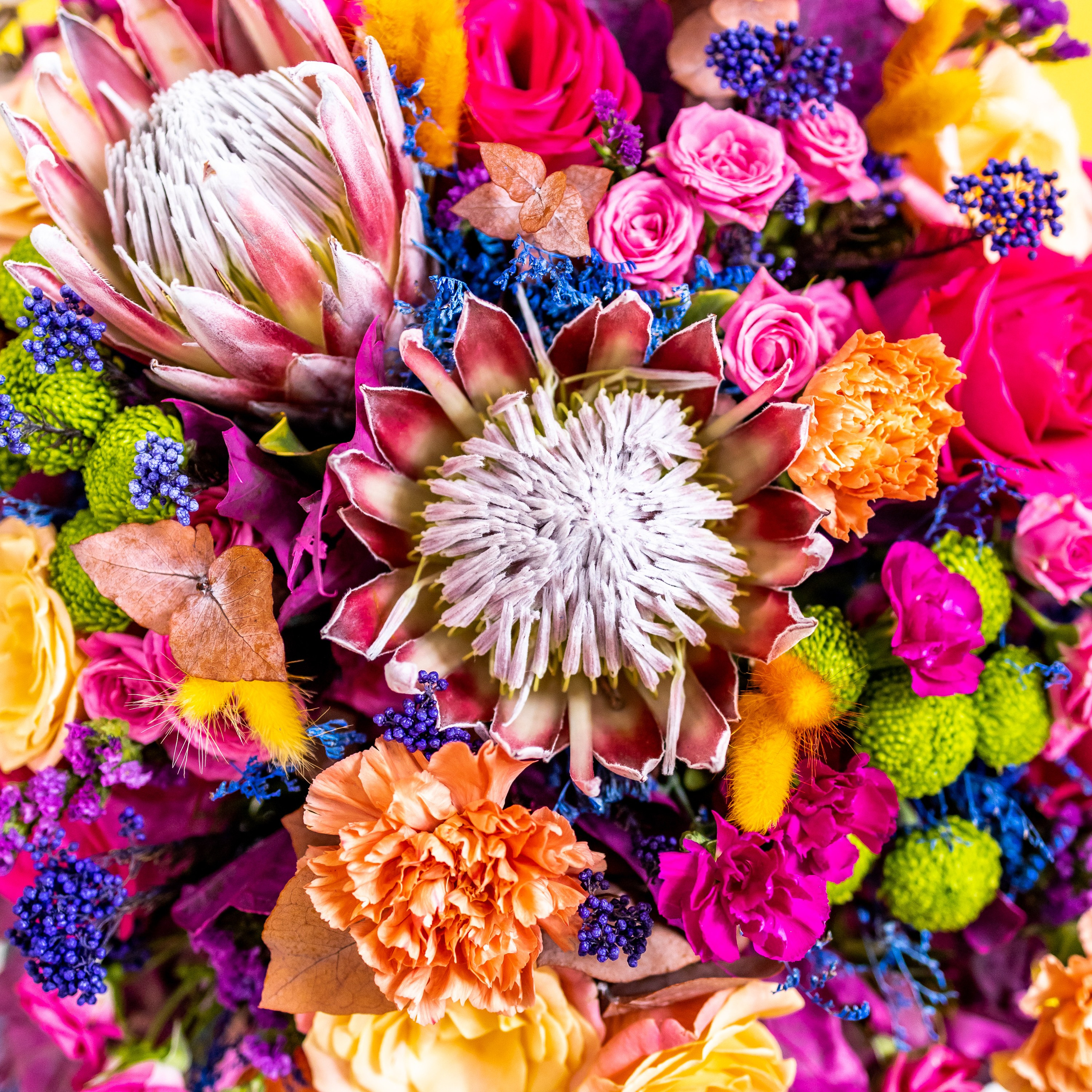 Цветы-Экспо 2024. Фотосессии и репортаж — Фотограф в Москве — Рина Серёгина