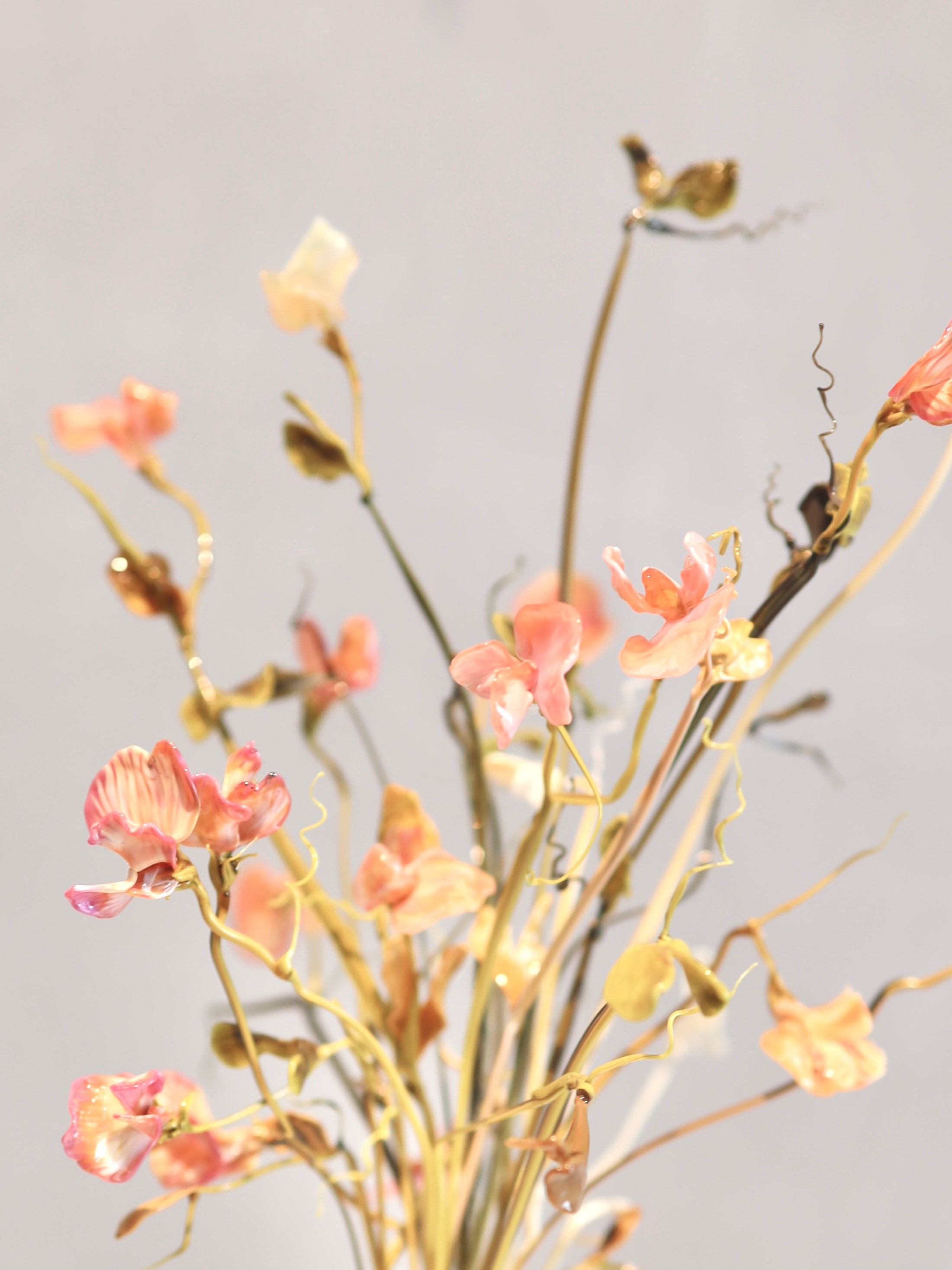 Выставка Степени прозрачности. Фотосессии и репортаж — Фотограф в Москве — Рина Серёгина