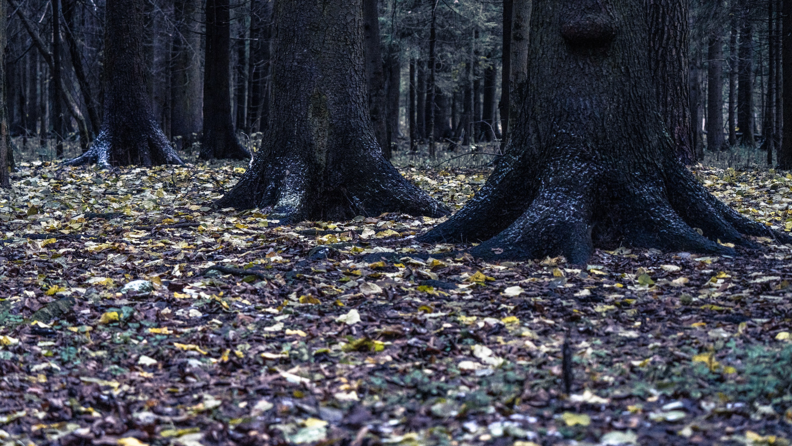 ПЕРЕДЕЛКИНО. ПОБУДЬ ЗДЕСЬ И ЦЕЛЕЕ БУДЕТ ЭТОТ МИР