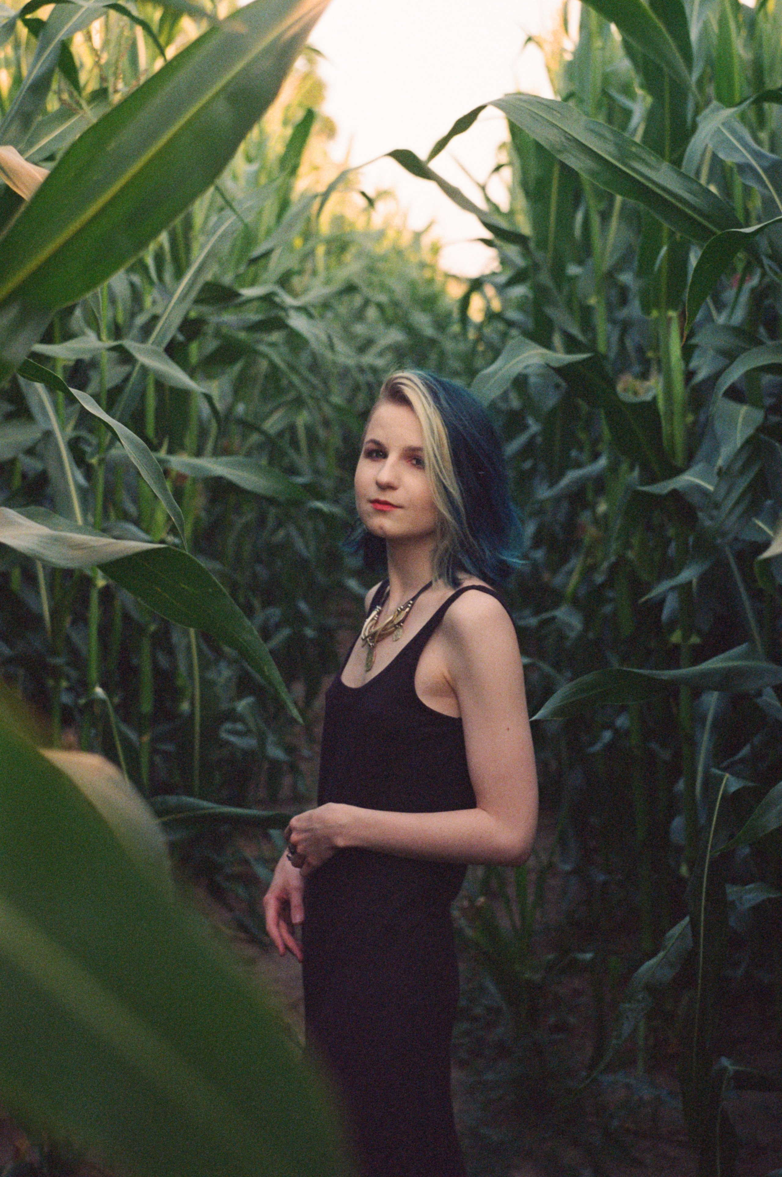 В кукурузе…. Стас Никоненко • Кинооператор • Фотограф