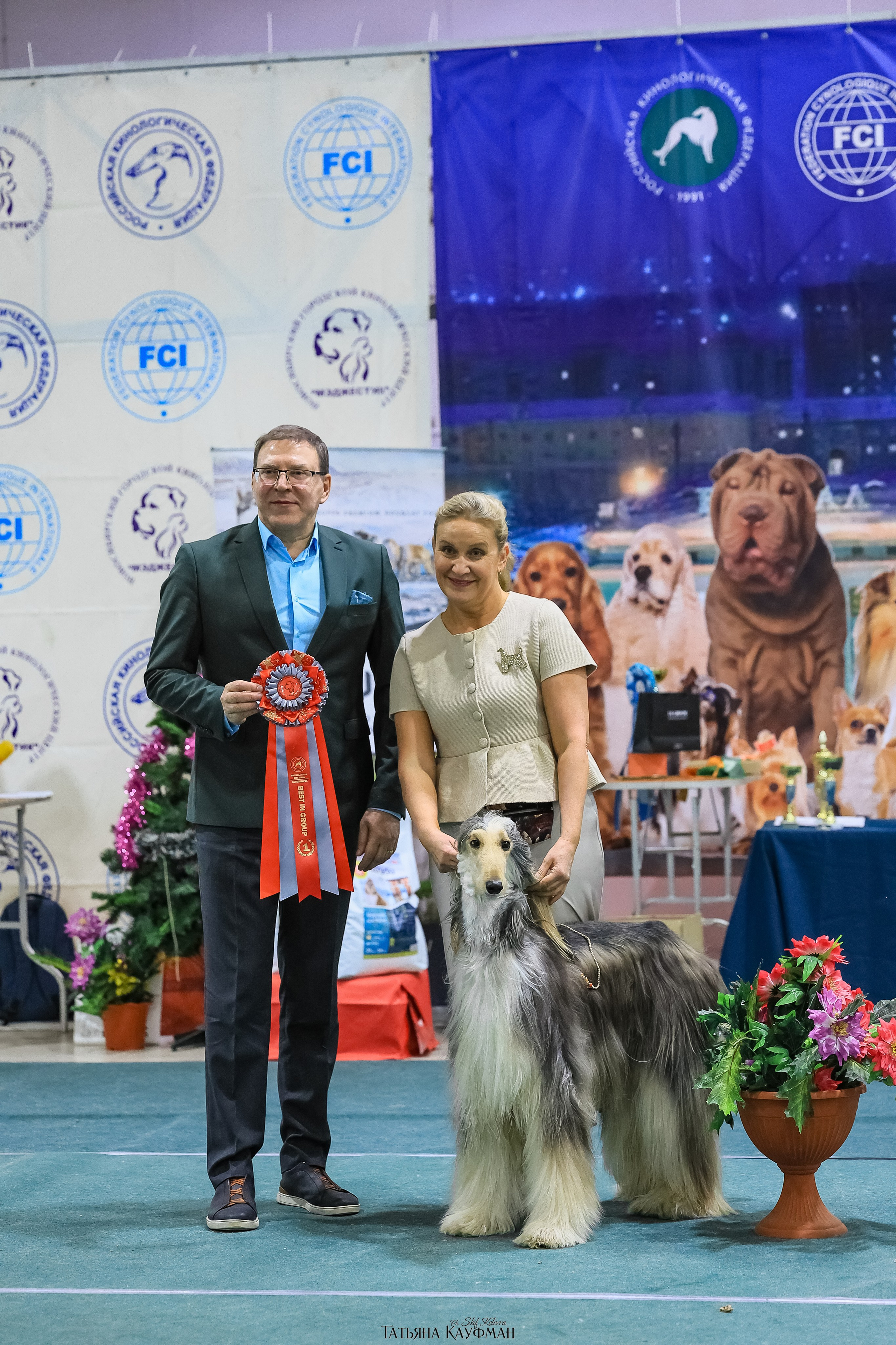 6-7.12.25 — 1-4 Национальные выставки собак в Новосибирске (2х рейтинговые). Фотограф Анималист из Новосибирска Татьяна Кауфман