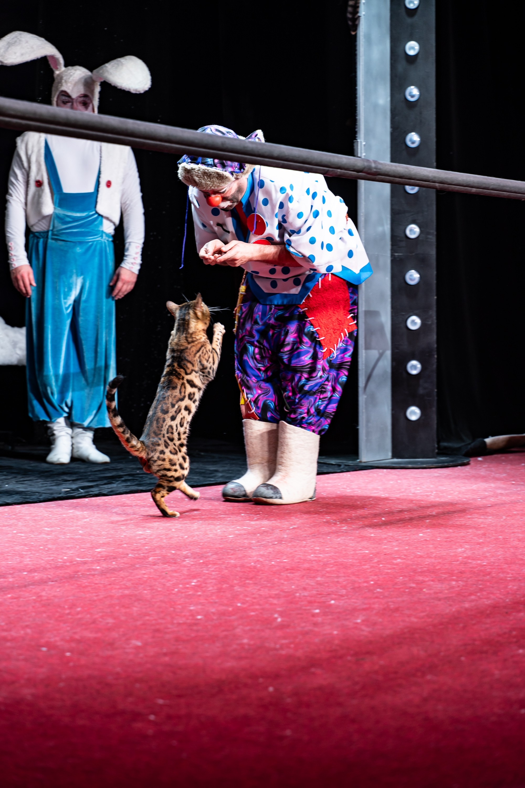 Театр Куклачева и его закулисье. Разноплановый фотограф в Москве