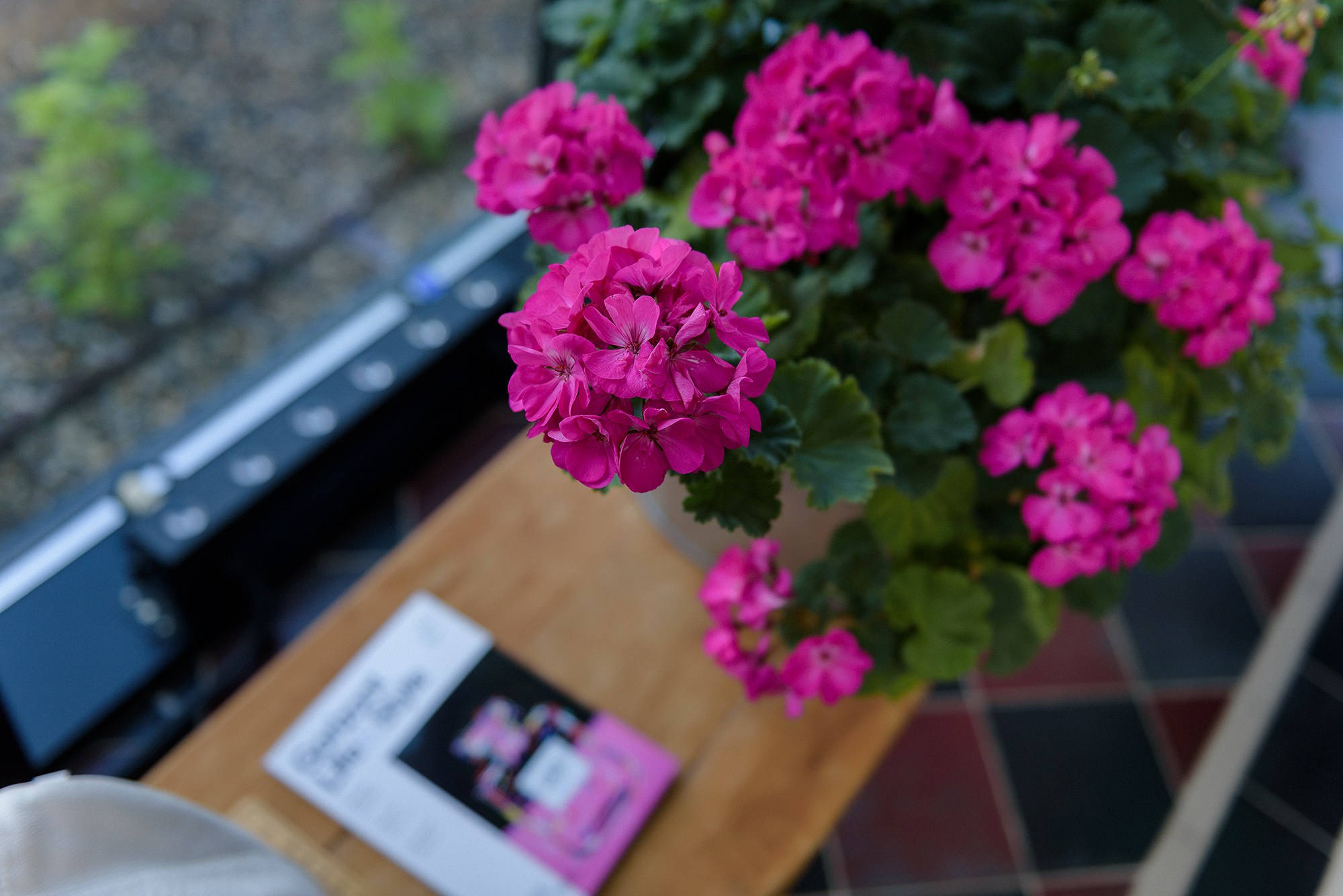 Бизнес завтрак. Фотограф Ростов-на-Дону Белла Керимова