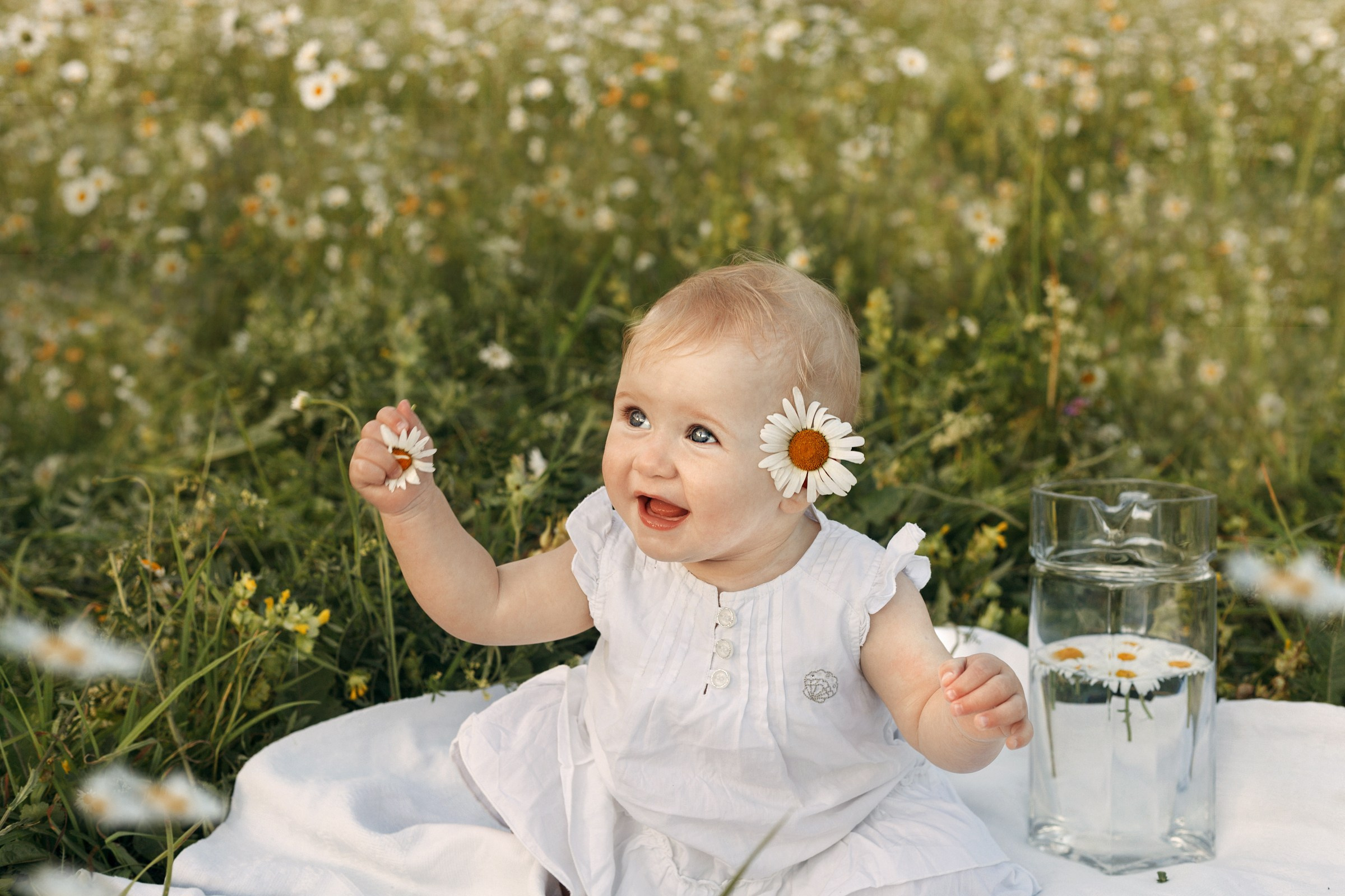 Ромашки. Детский и семейный фотограф в Бердске и Новосибирске Дарья Гребнева