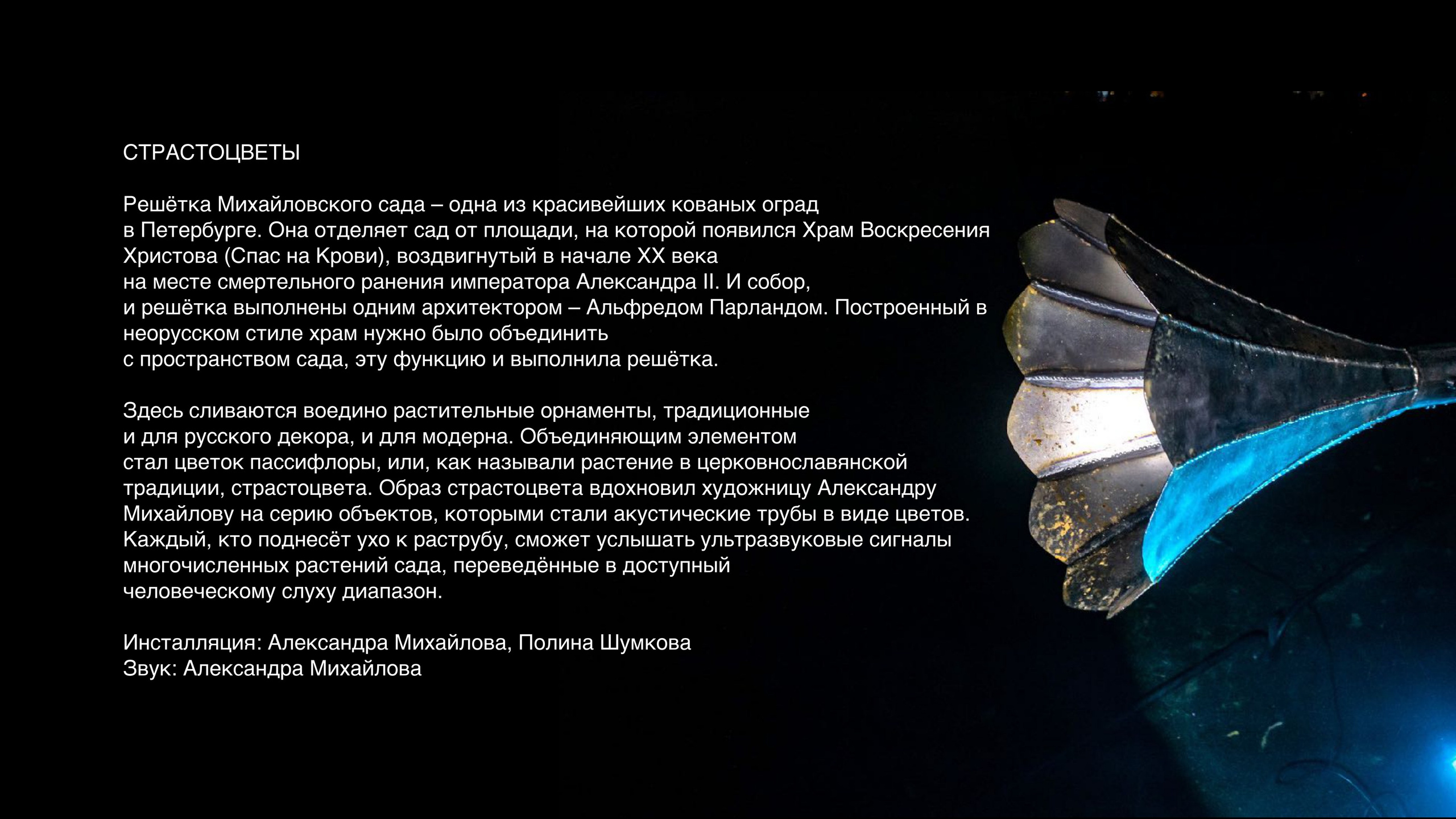 Обратная сторона дворца. Aleksandra Mikhailova multimedia artist