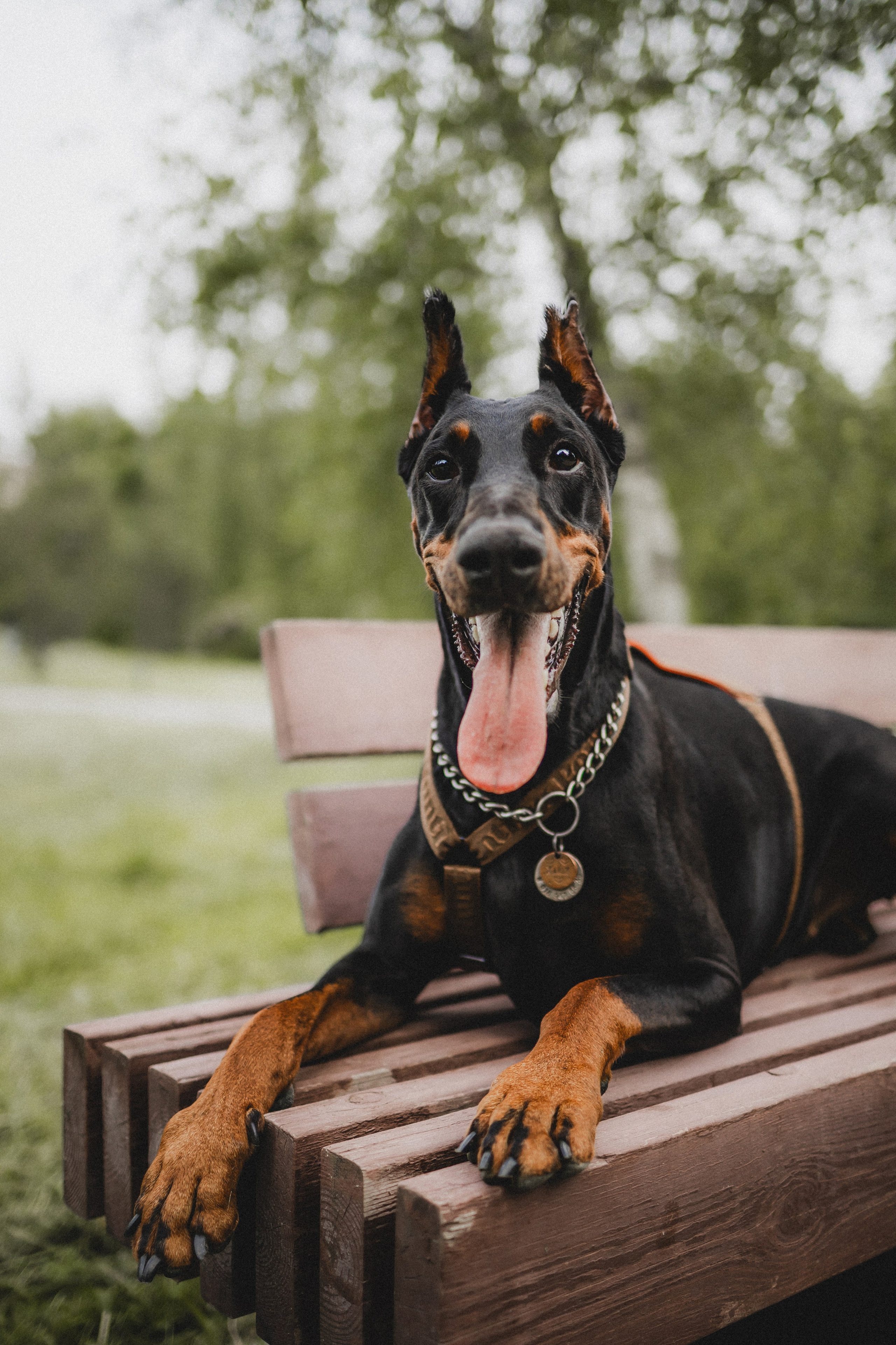 Паша, Хайди и Тея