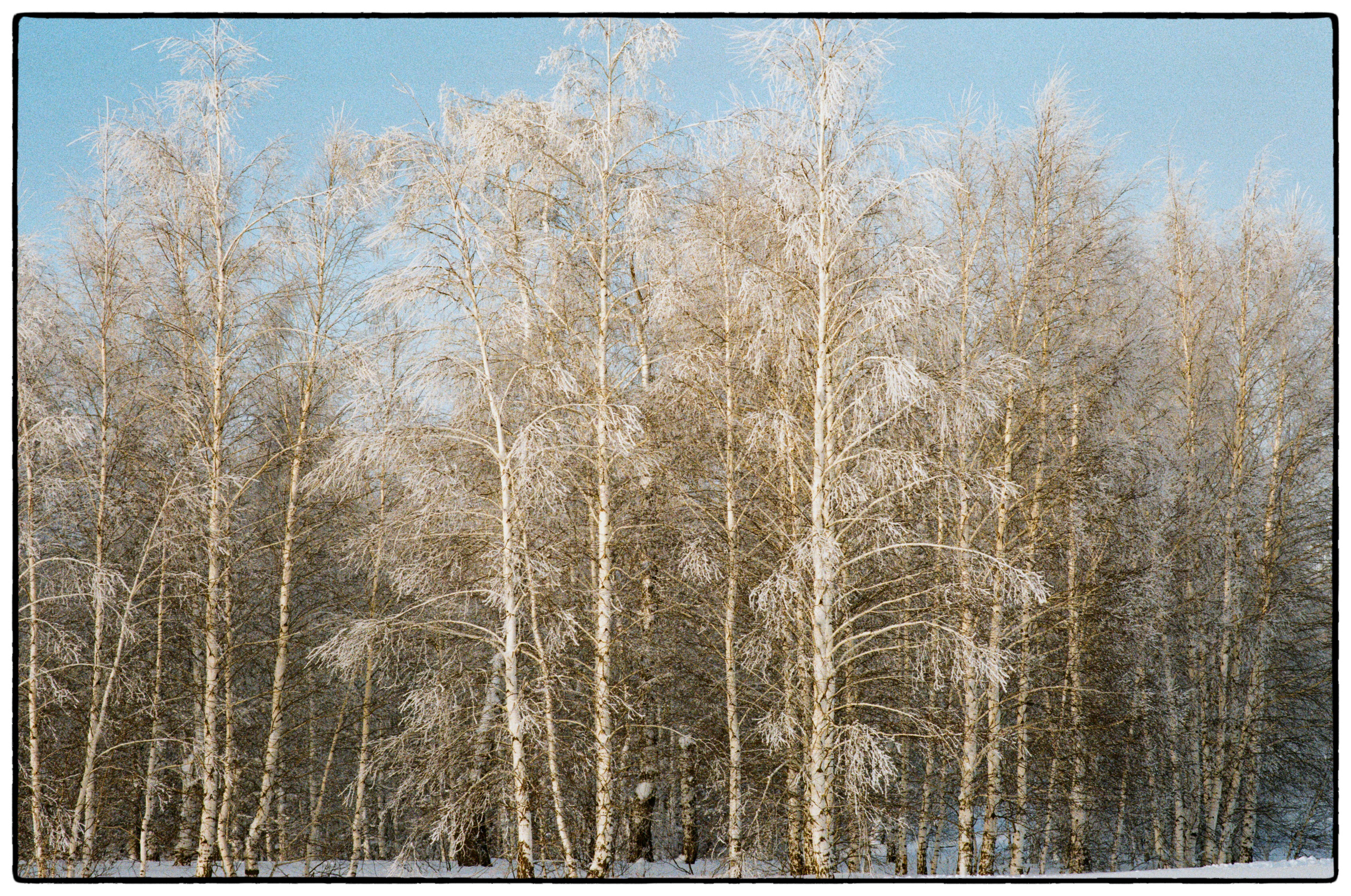 Зимнее. Фотограф Филякин Константин