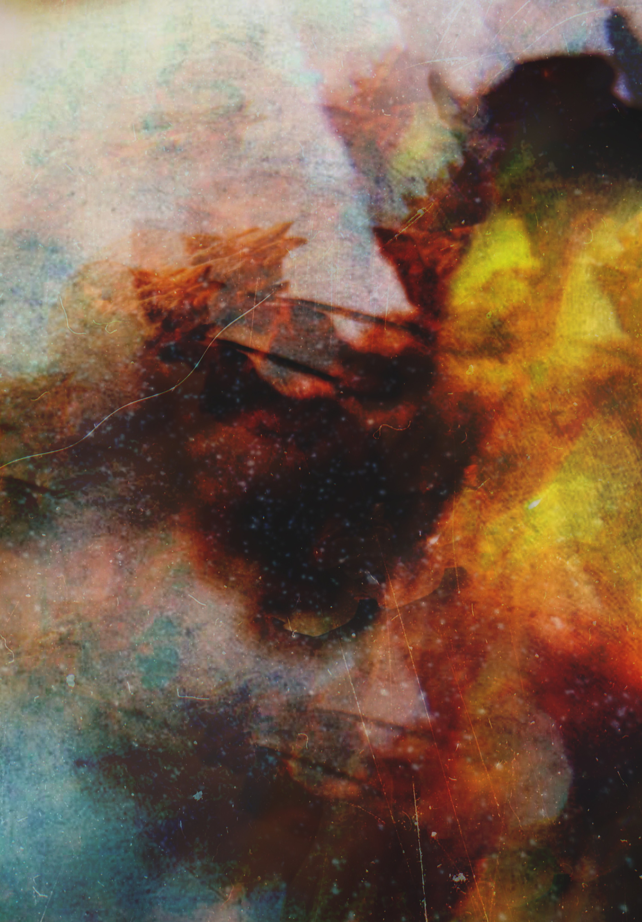 эфемерность фотопроект