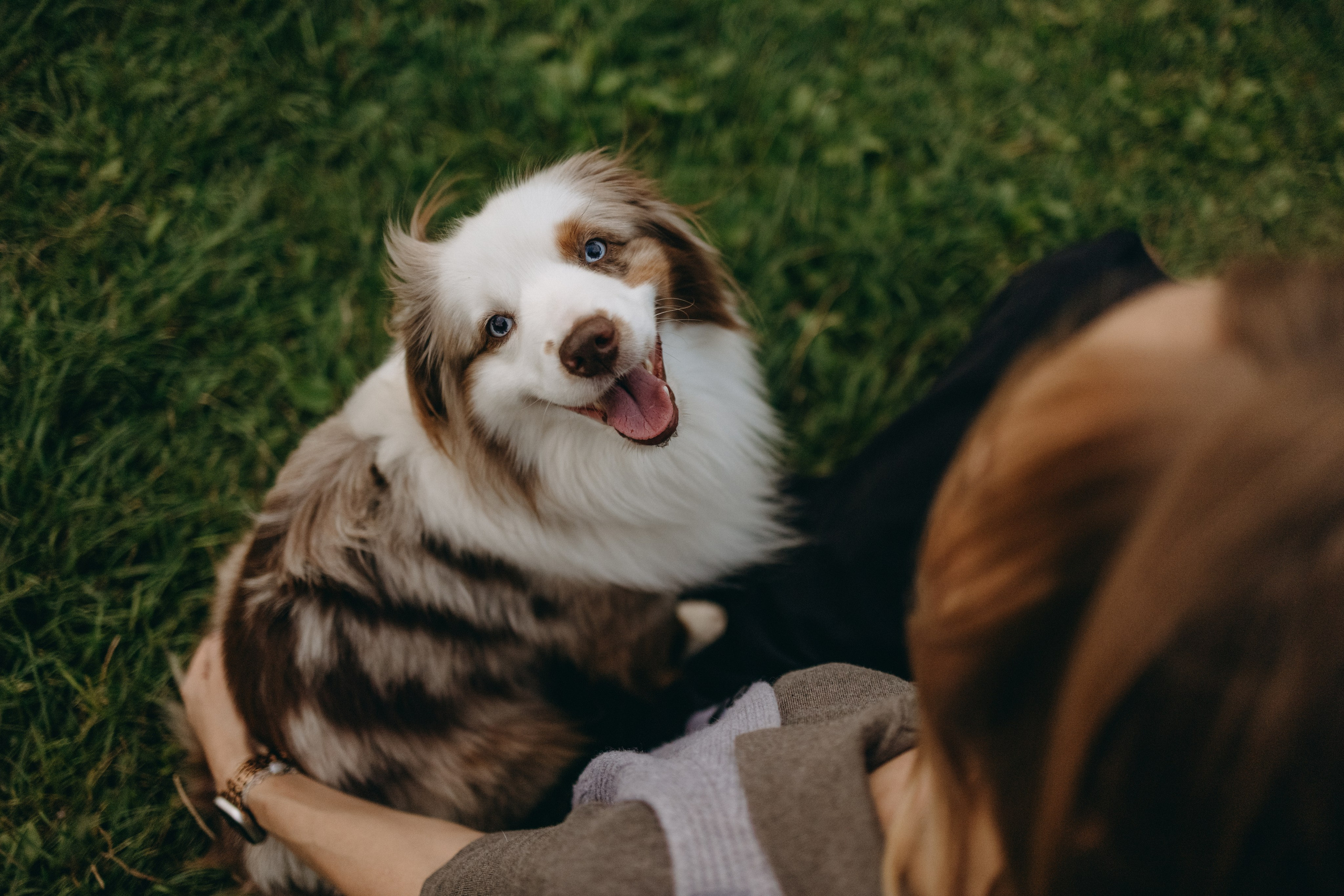 Маша и Эклер. Фотограф — Анималист | Санкт-Петербург