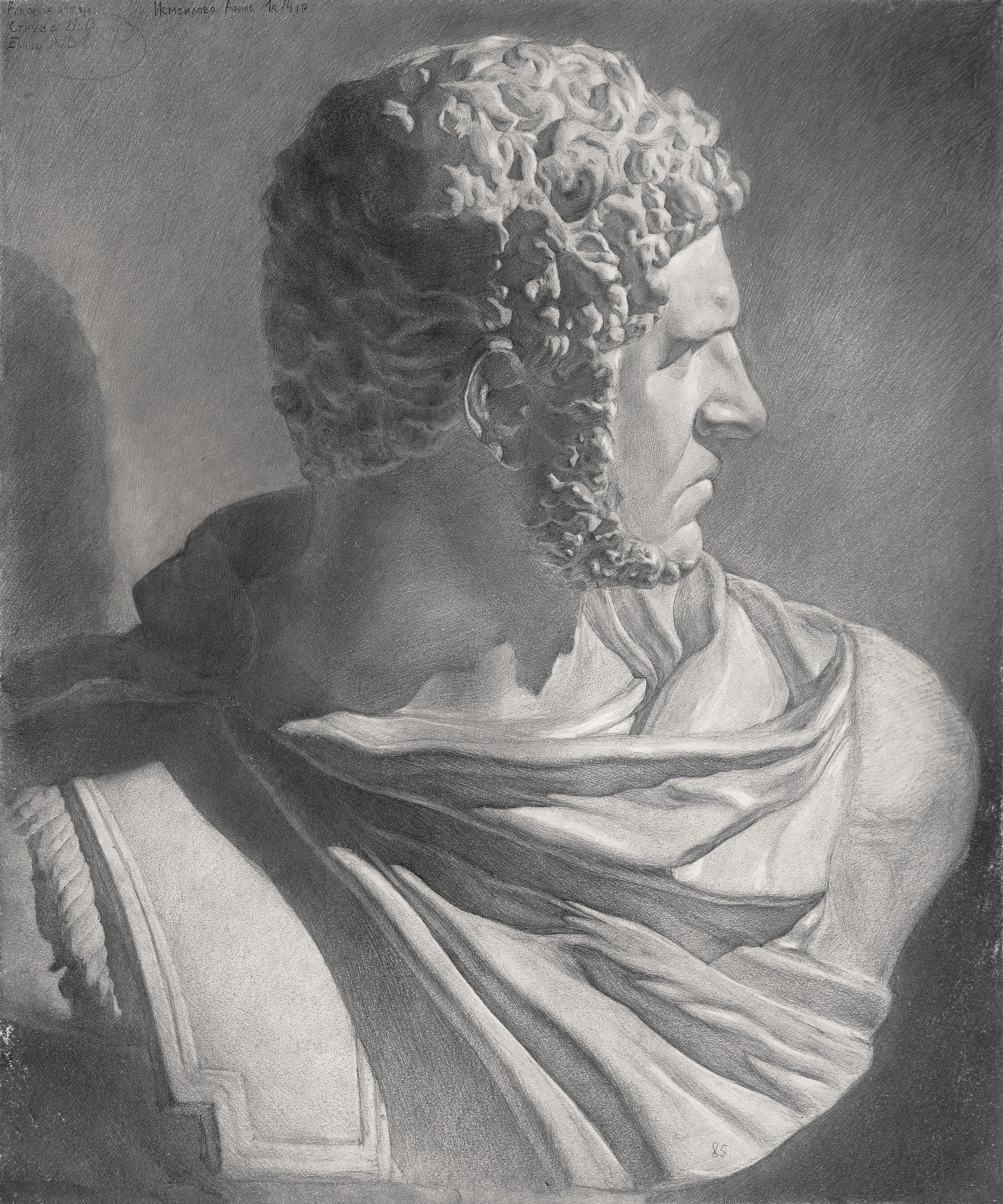 Исмаилова Арина. I курс, 2025