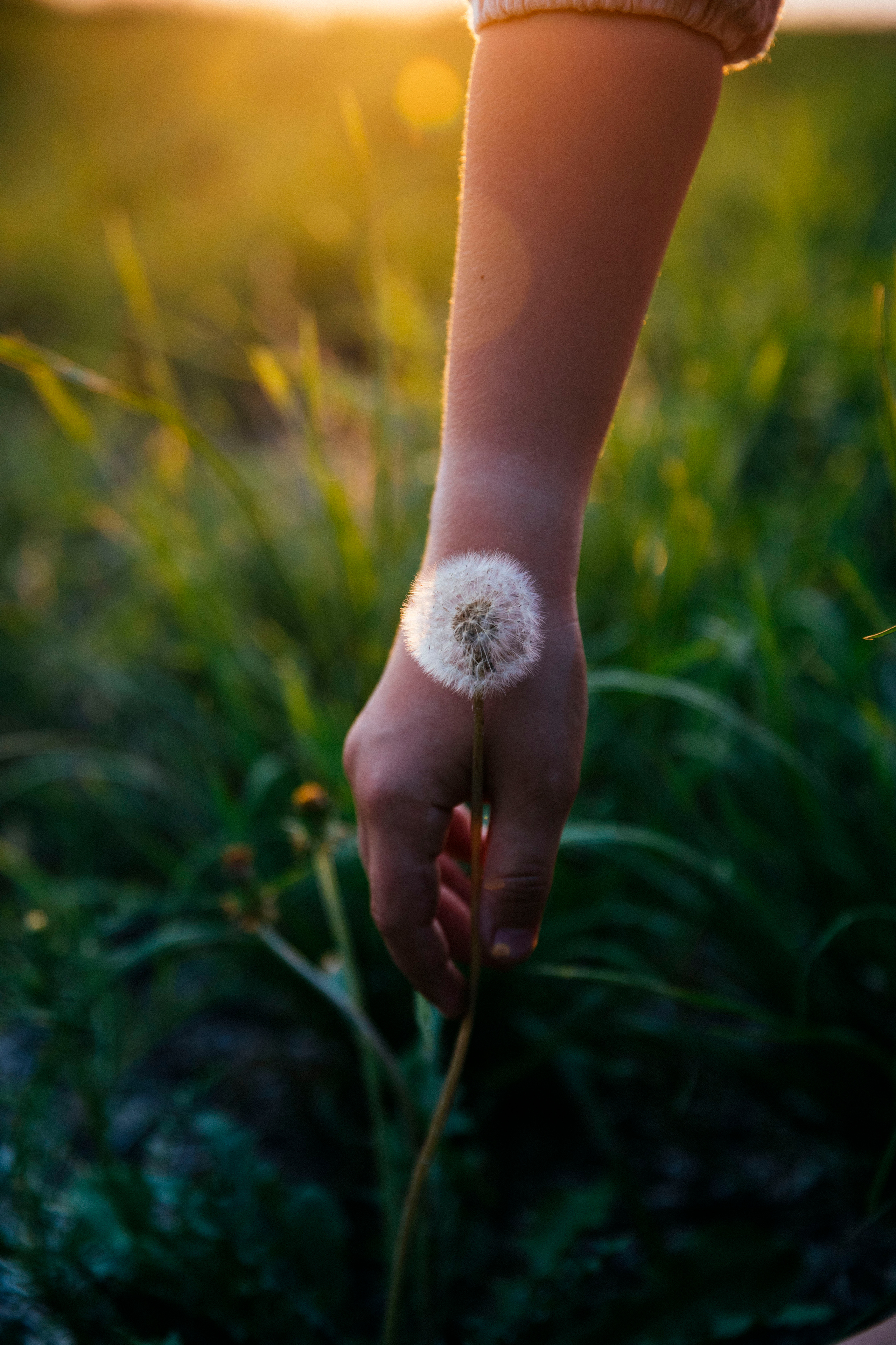 Папины дочки. Фотограф в Москве Шаганова Нина