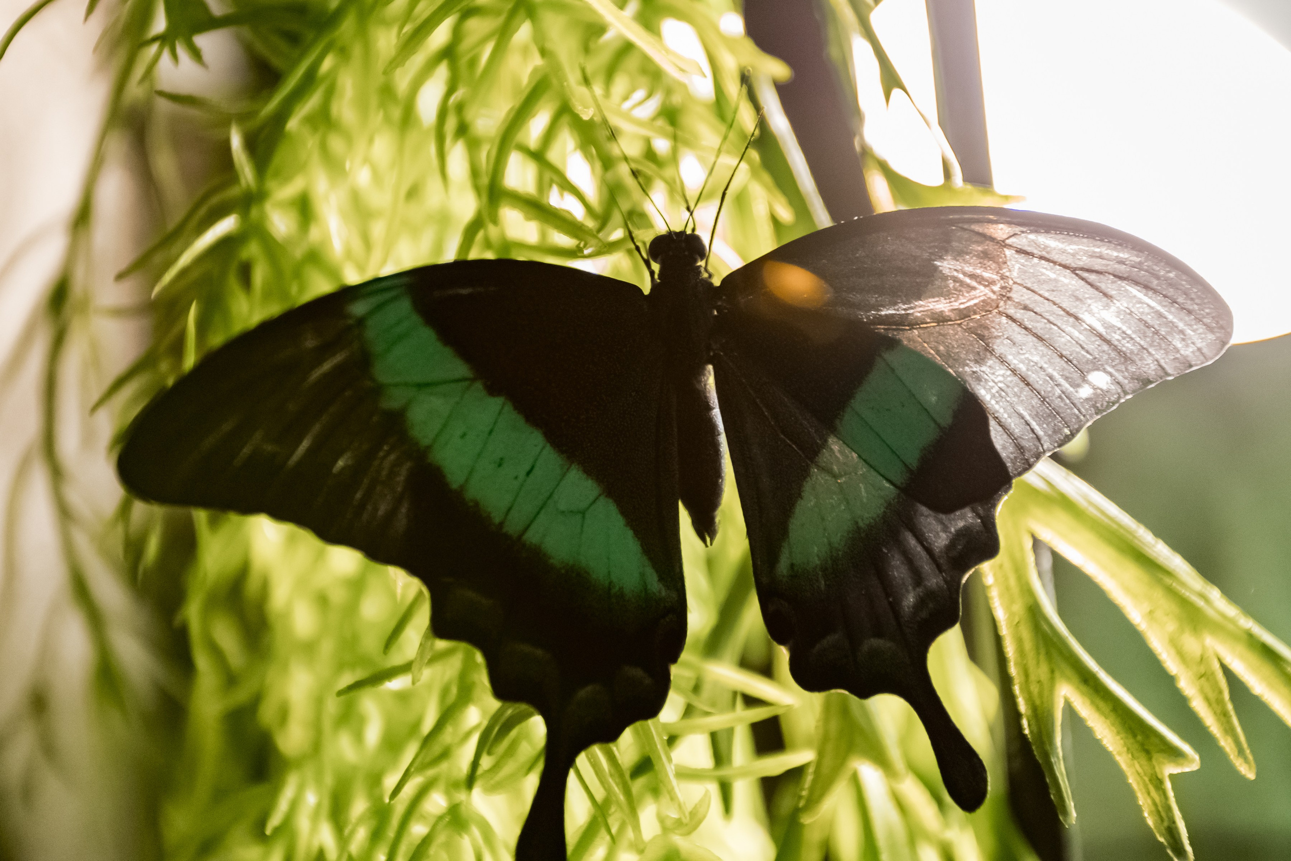 Фотосъемка коммерческих помещений для сайта, карт, соц.сетей. Интерьеры, Контент, Портреты | Фотограф в Москве Дани Терно