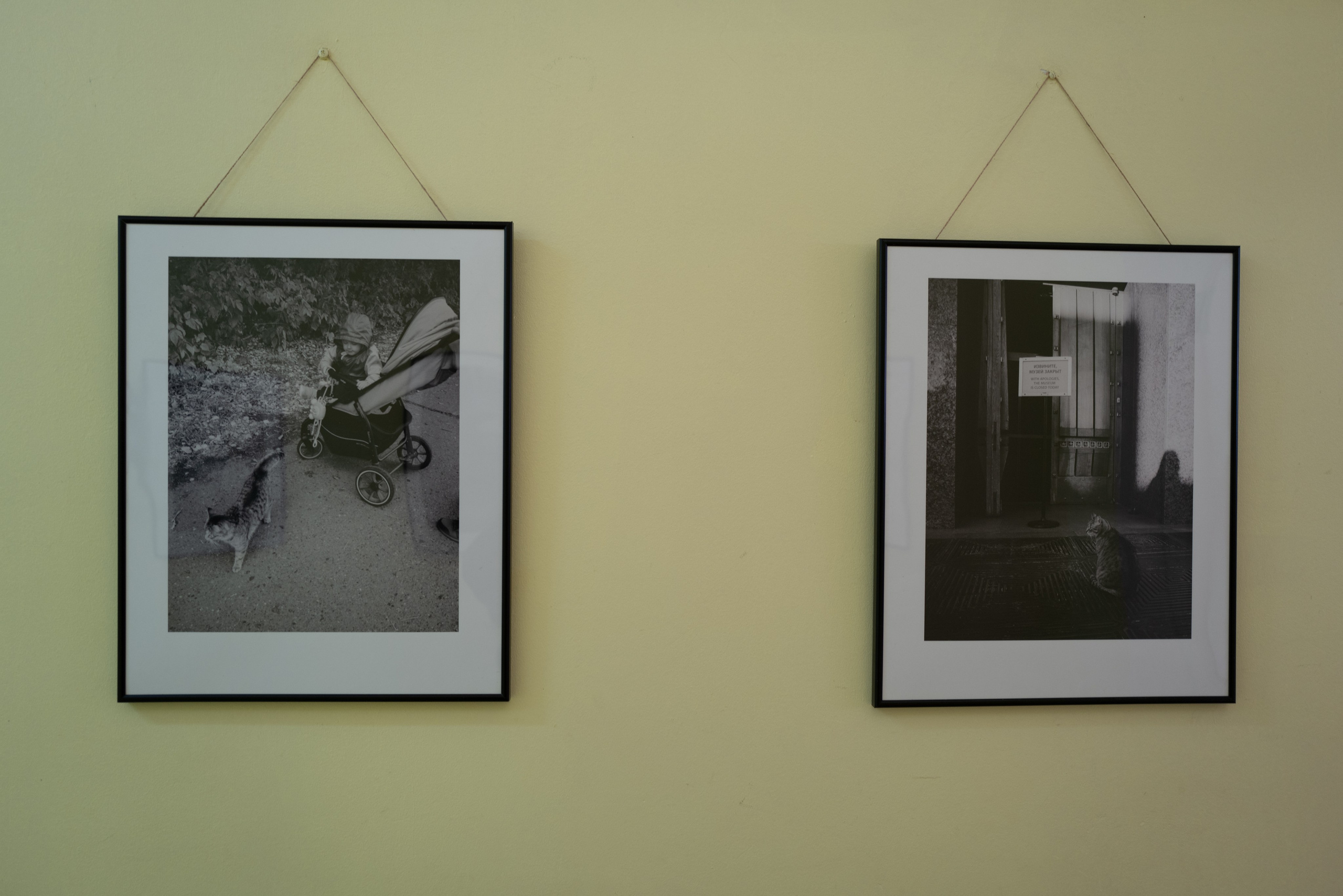 Выставка 01.04.2025. Фотограф Александр Тихонов