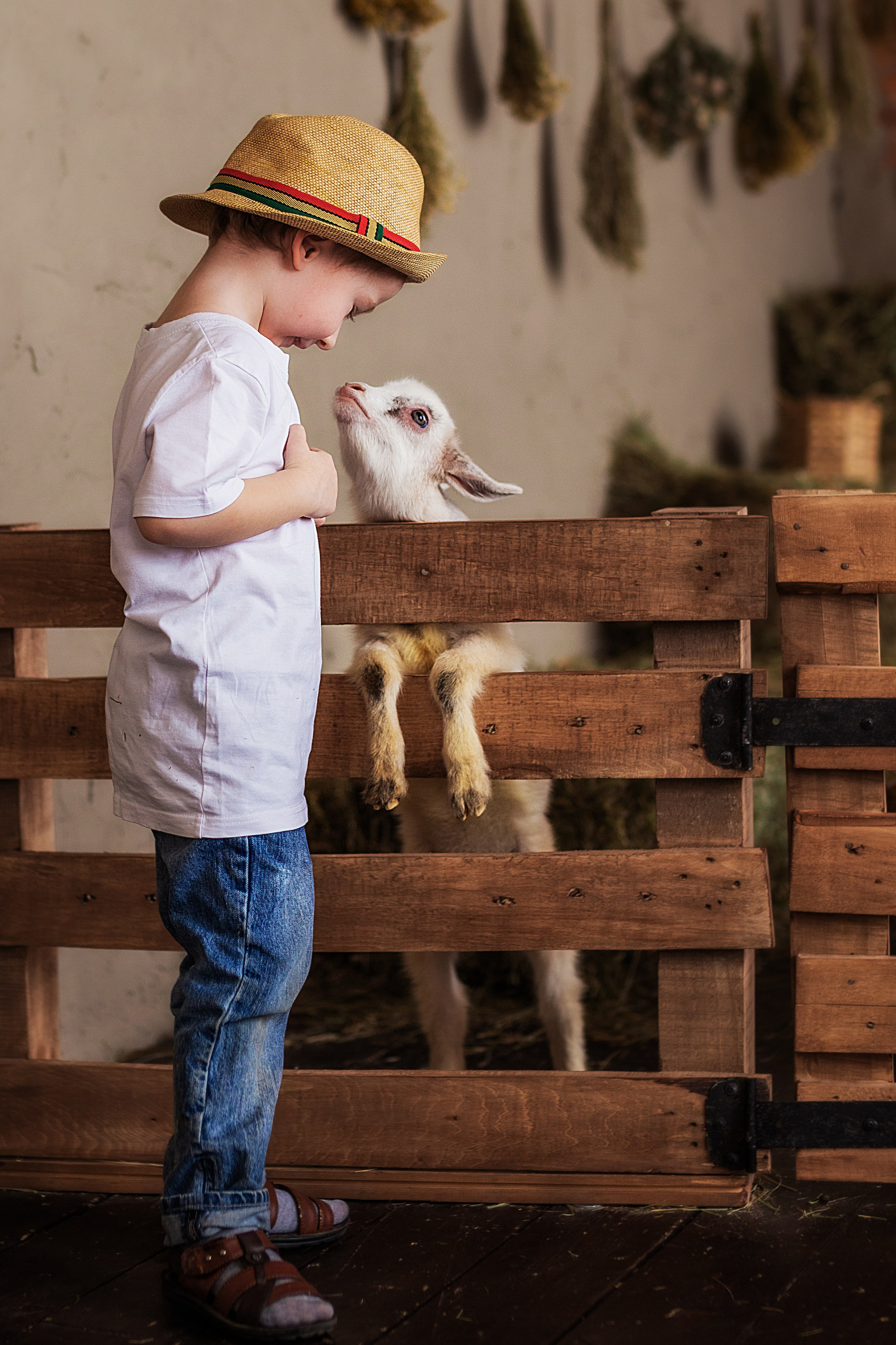 Дети и животные…самый милый альбом. Семейный фотограф в Саратове