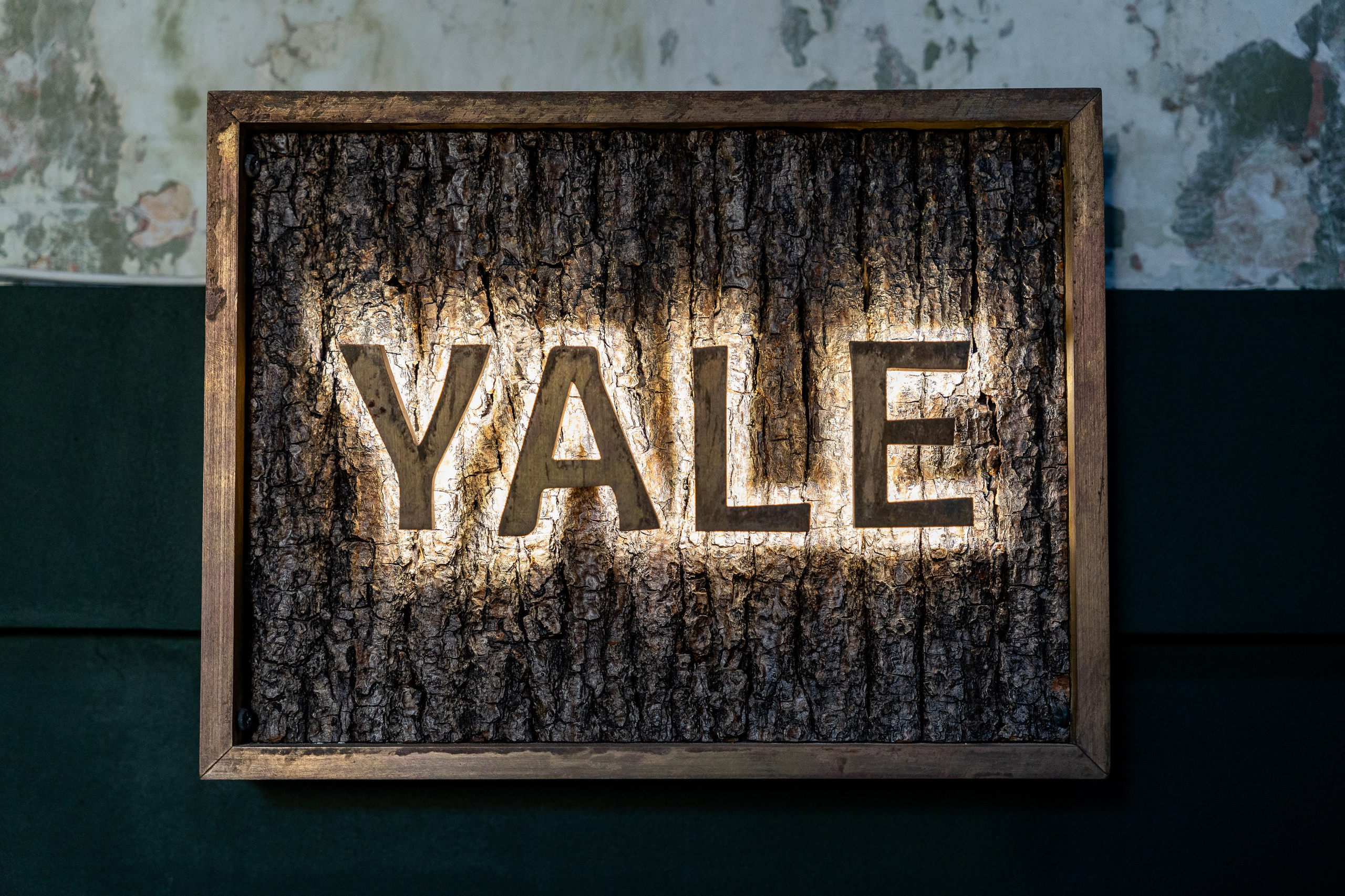 Альфа Босс. Sunnyman