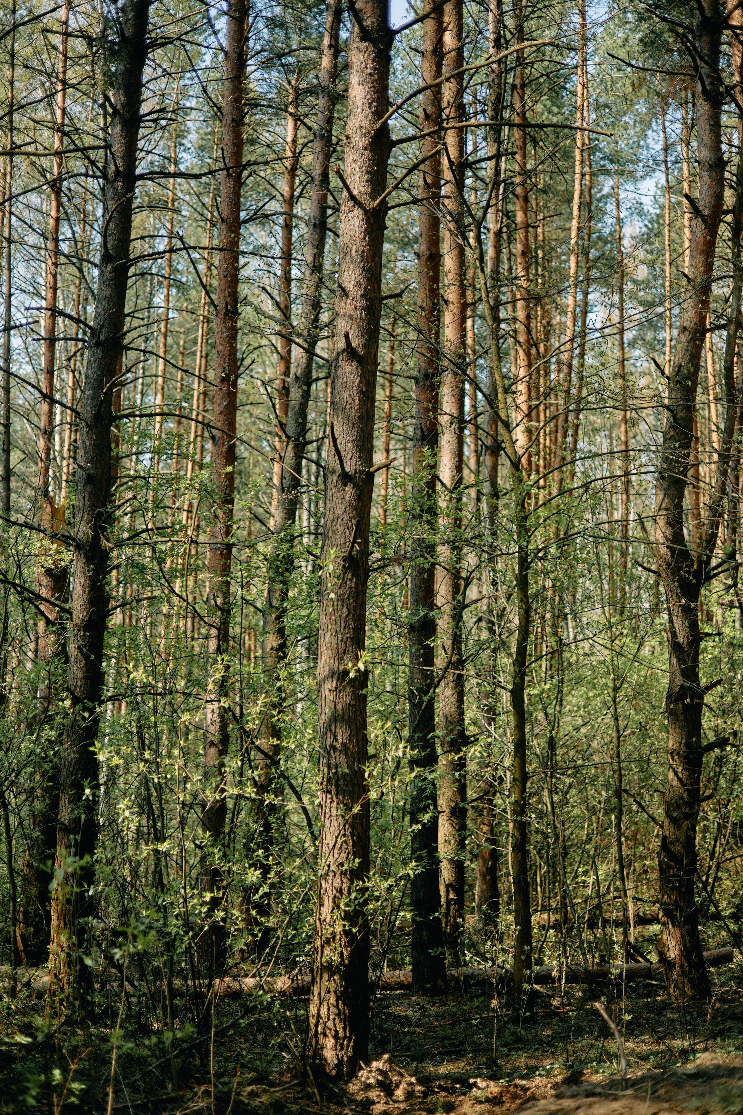 Бутик-отель Поле летом. Профессиональный Фотограф во Владимире, в Москве и в Суздале — Полина Романычева