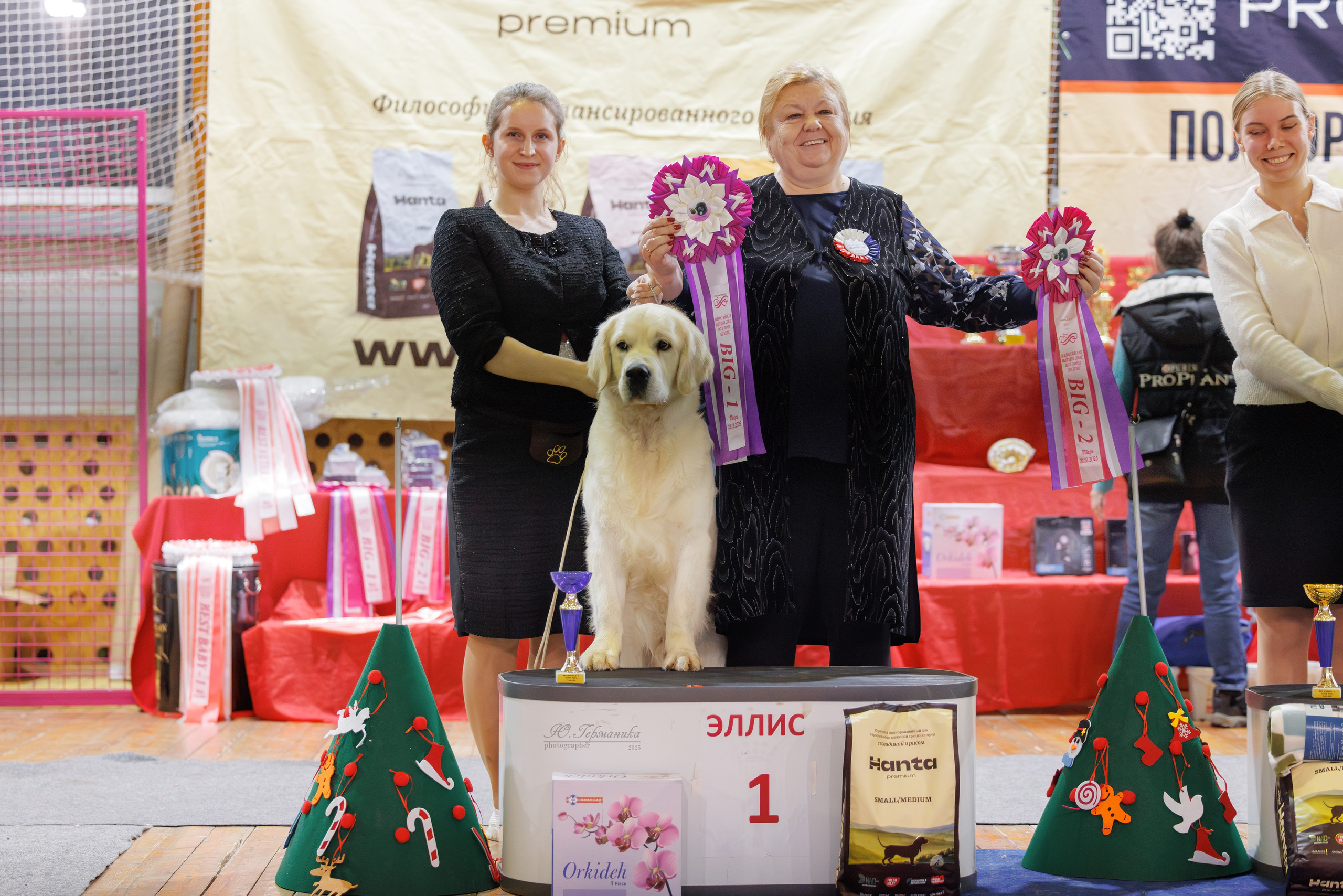 Тверь 21.12.2025. Фотограф-анималист Юлия Германика