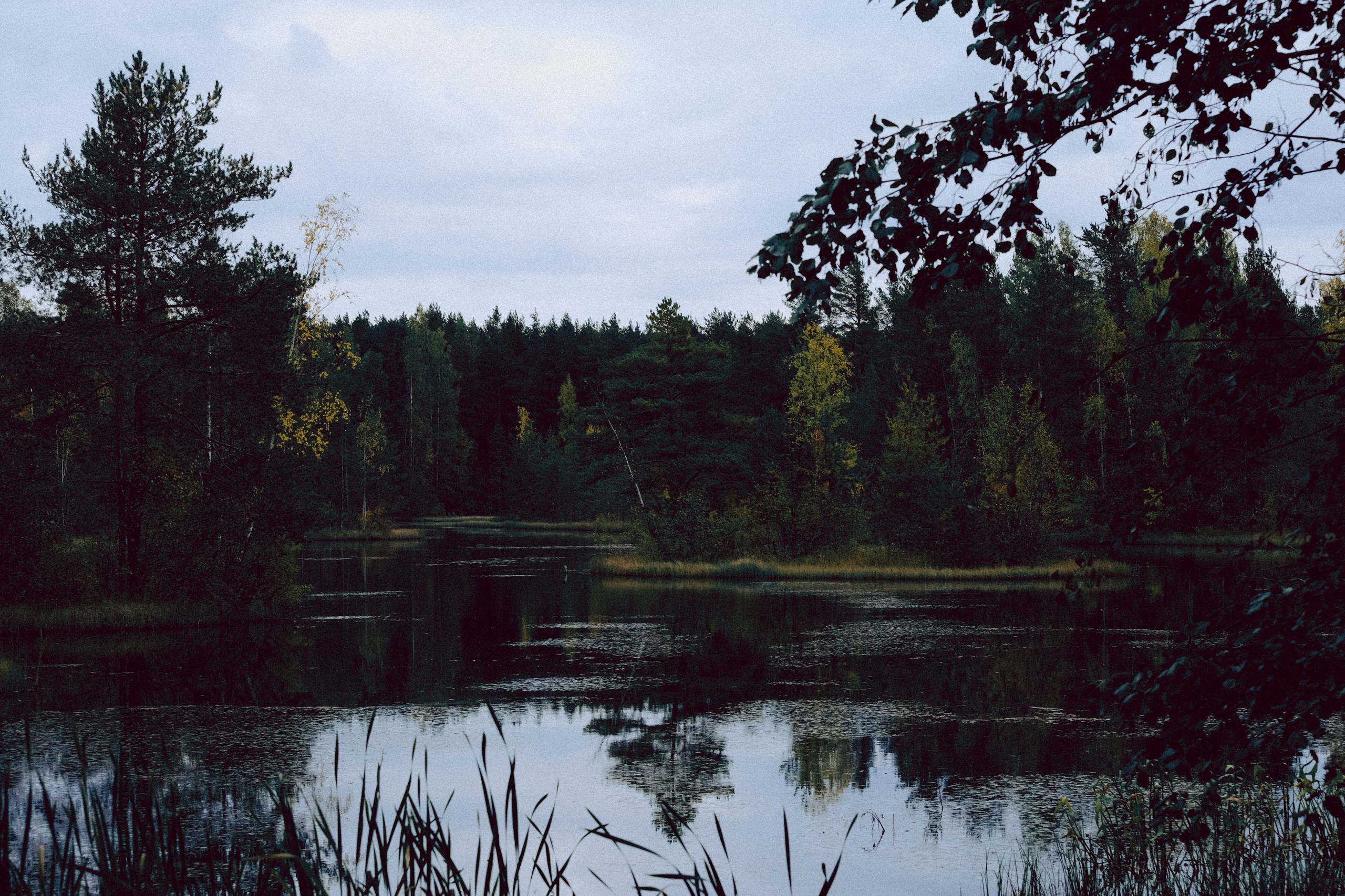Осеняя прогулка. Профессиональный фотограф, Санкт-Петербург — Виктория Богомолова