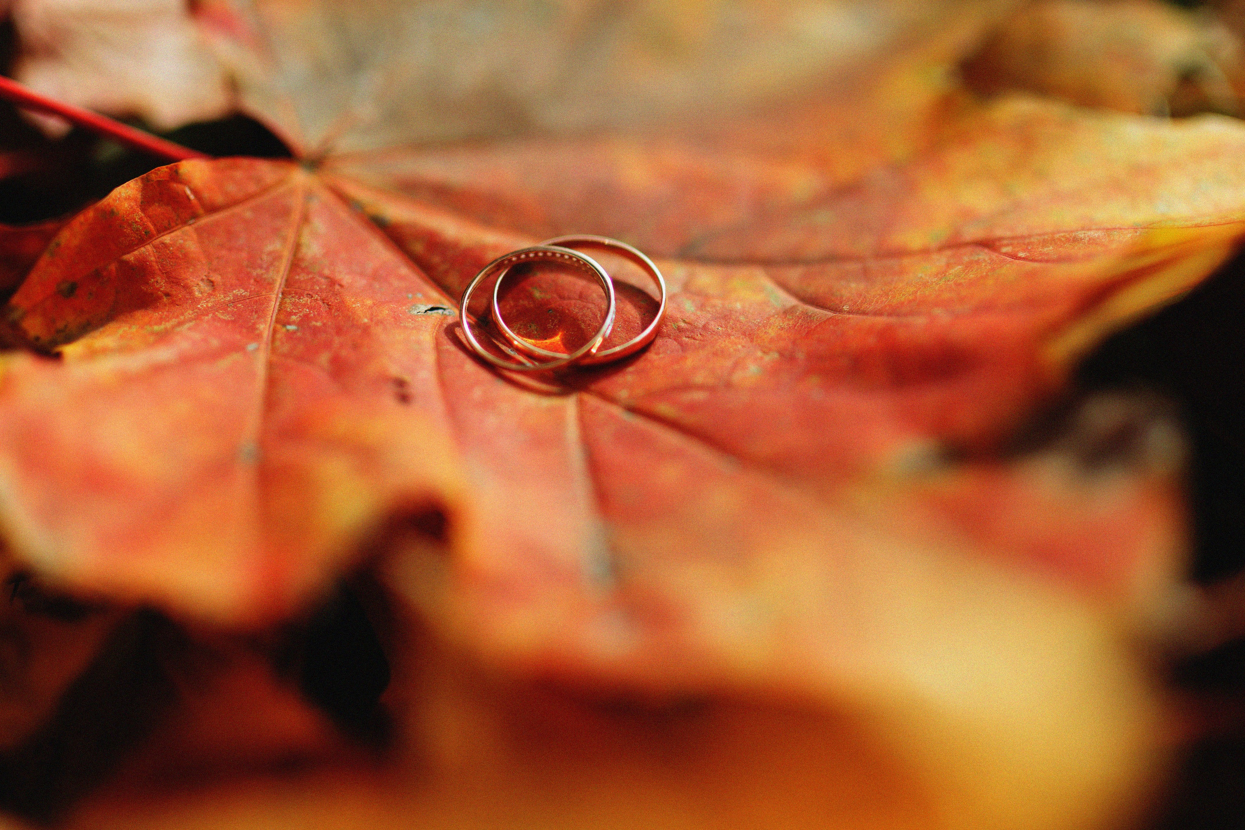 Свадебный фотограф в Ростове-на-Дону Лилия Паккерт