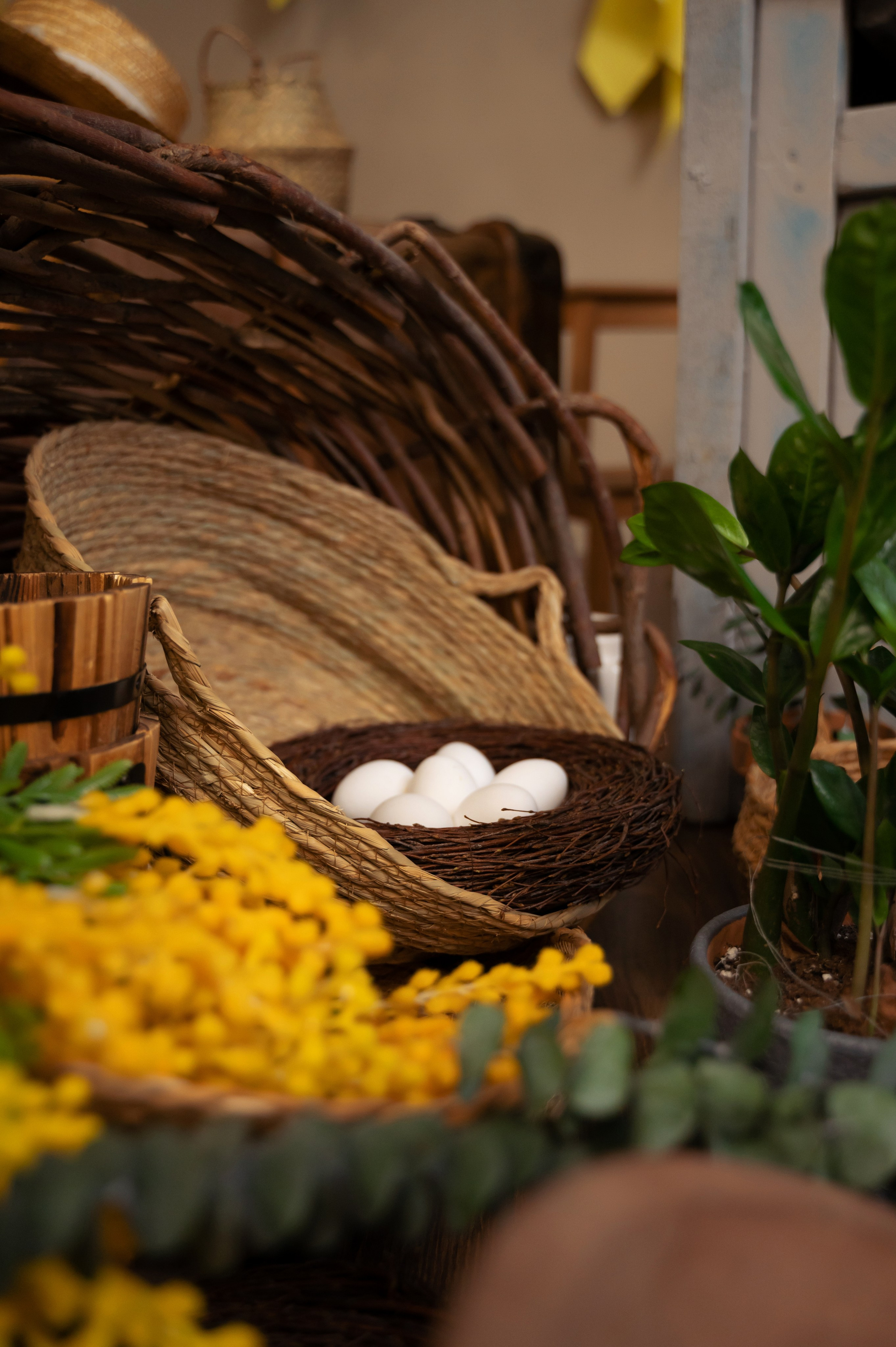 Купание утят. Елена Задорина