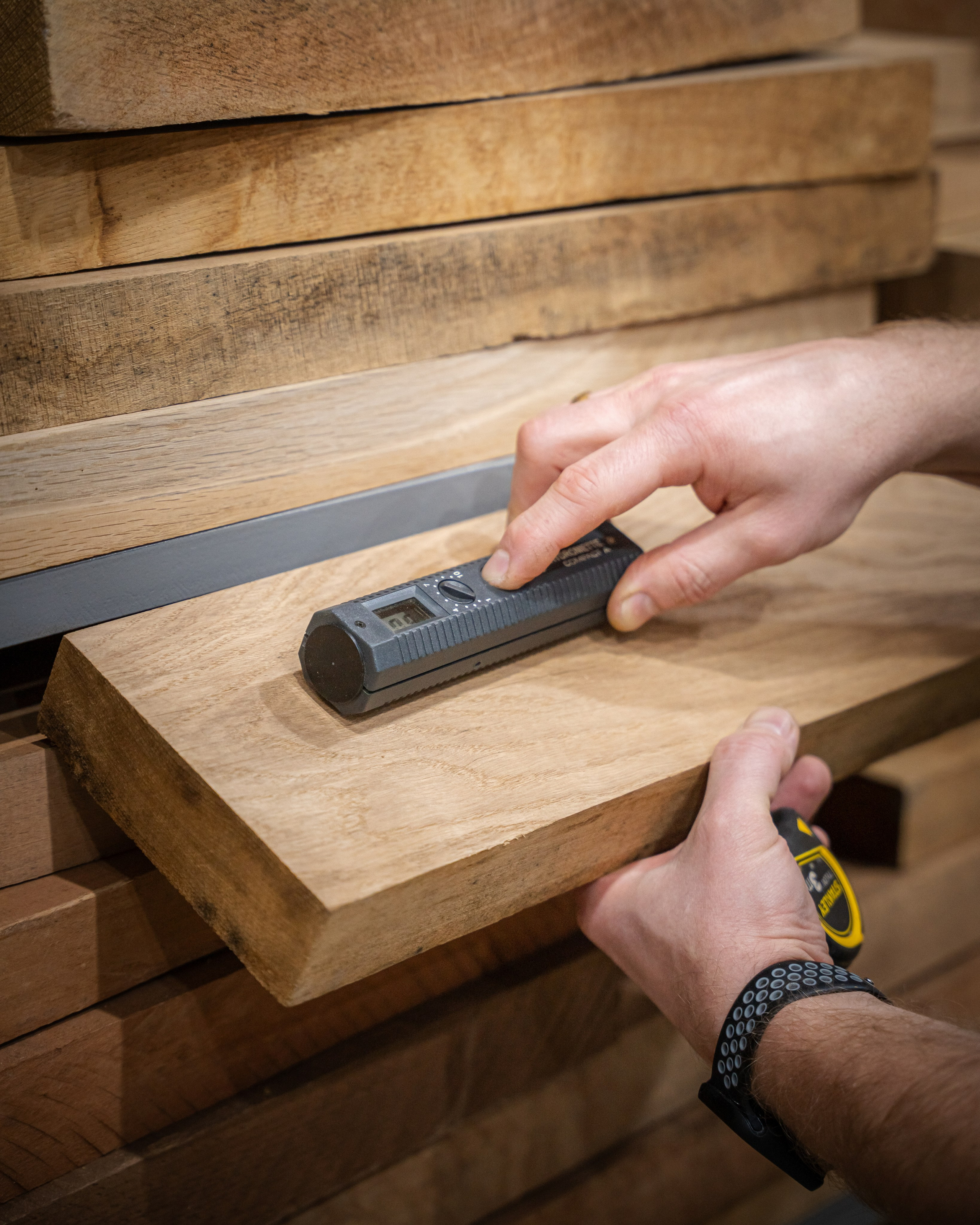 Дуб Forest. Главная