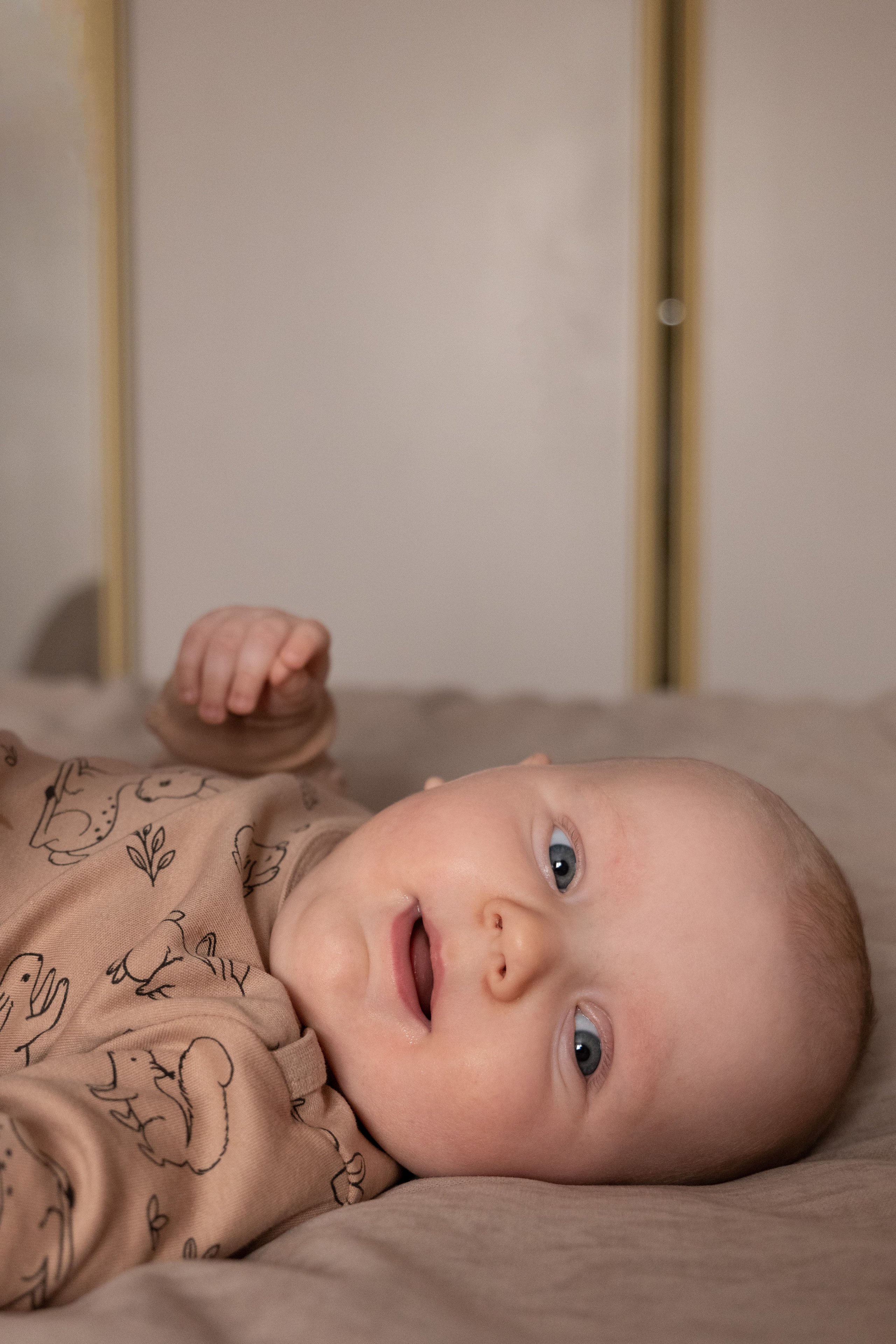 Мишке 4 месяца. Фотограф видеограф Ольга Василевская