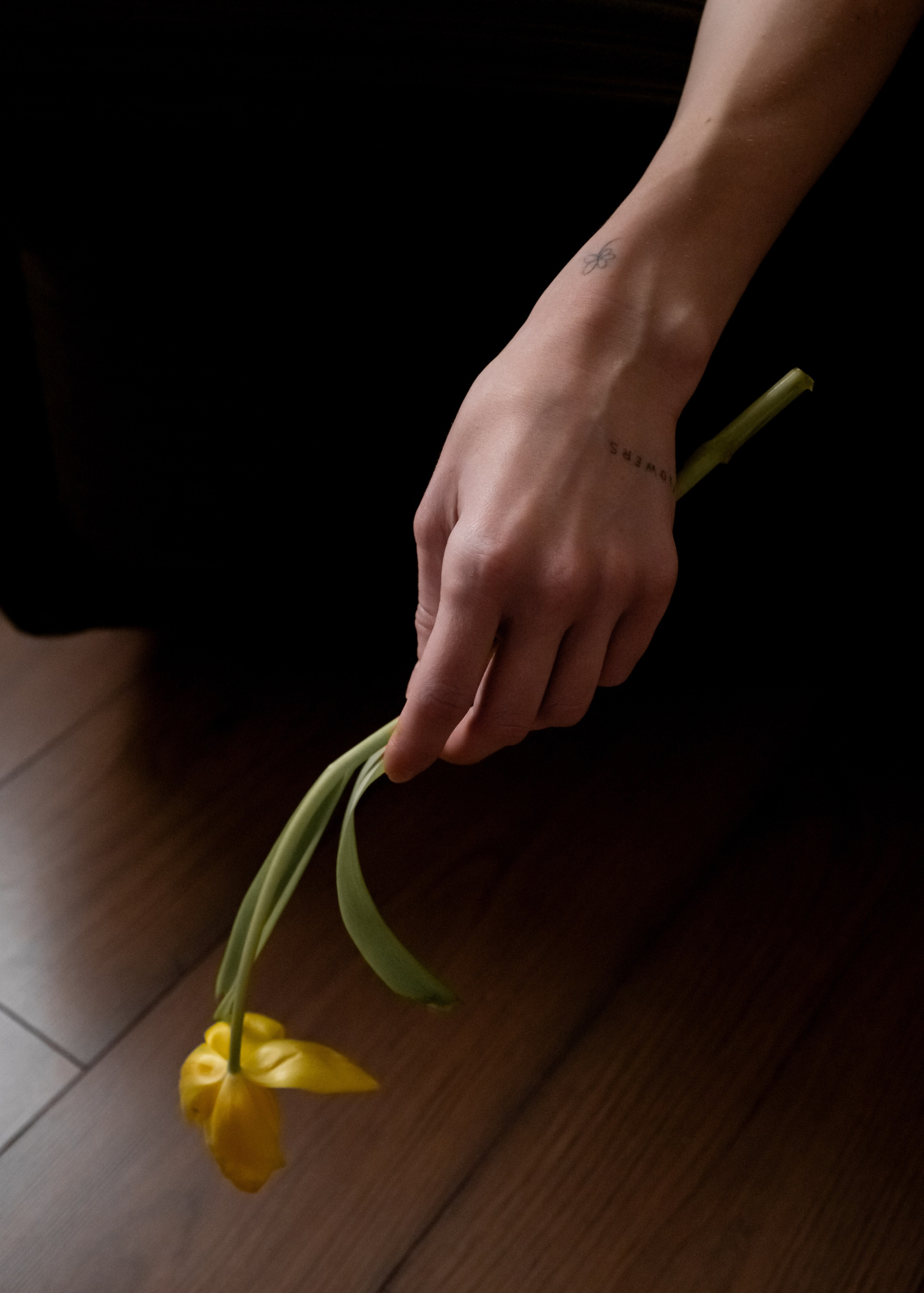 Дарья студийная фотосессия. Профессиональный фотограф в Твери Иванова Юлия