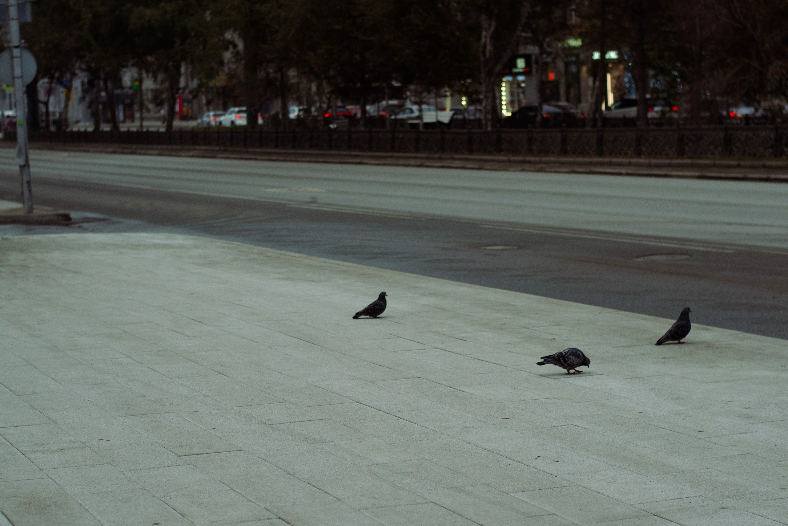 STREET. Фотограф Ольга Дмитриева. Новосибирск