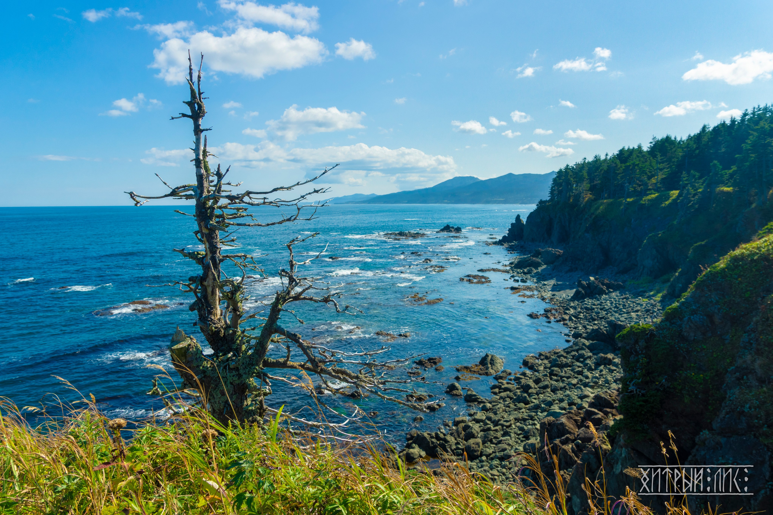 Сахалин. Фотограф-путешественник Самойлов Максим «Sly Fox»